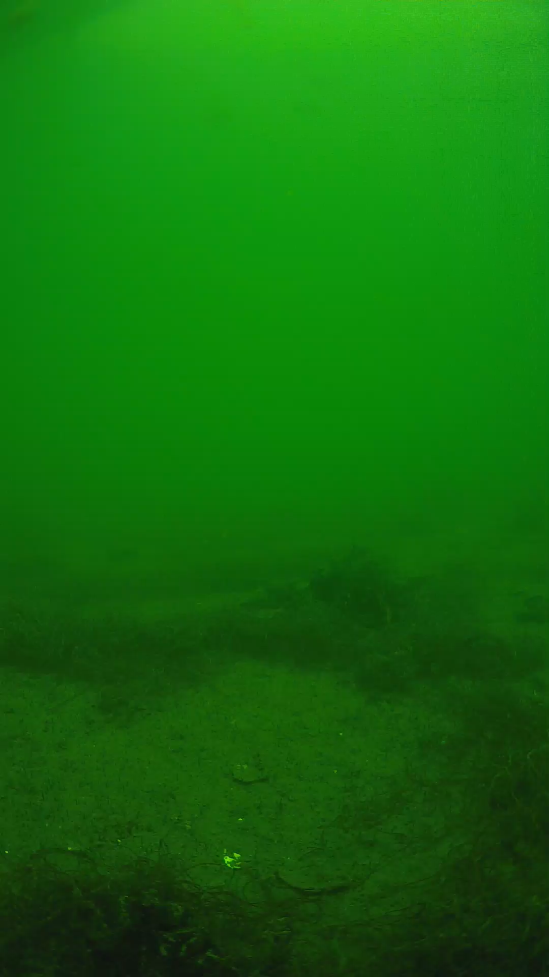 lander_ipcam_20250604130106.png