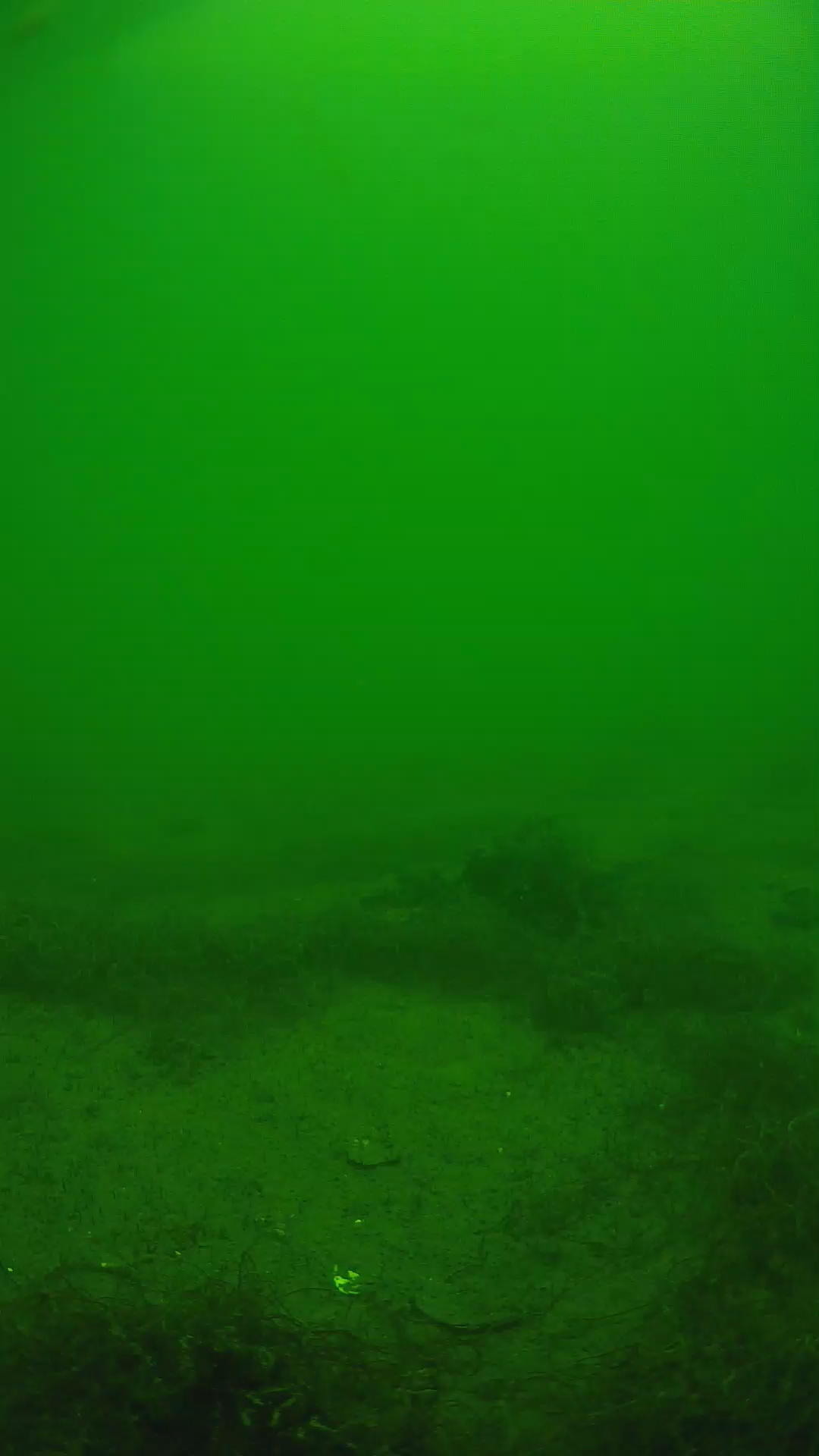 lander_ipcam_20250604130109.png