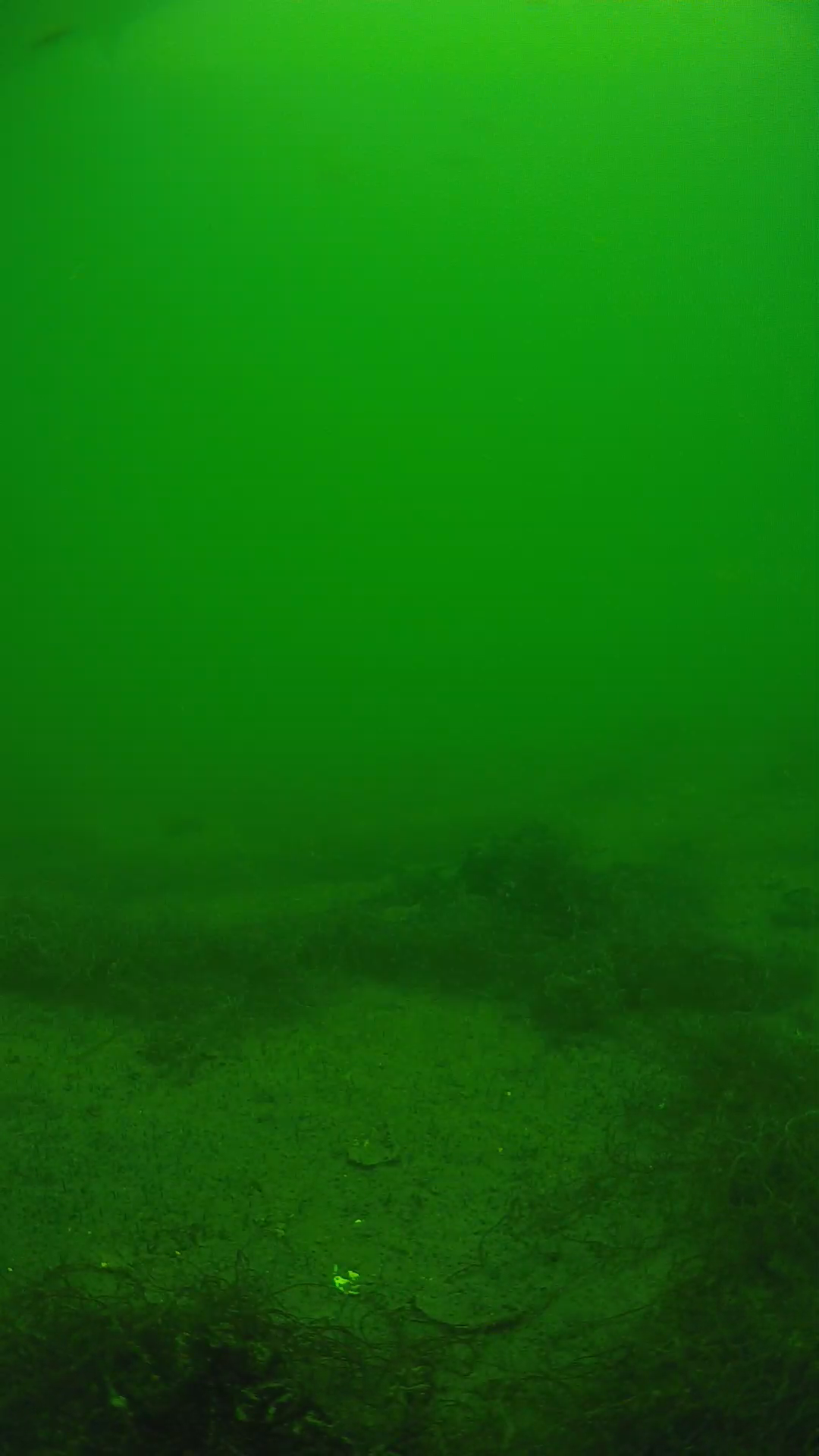 lander_ipcam_20250604130121.png