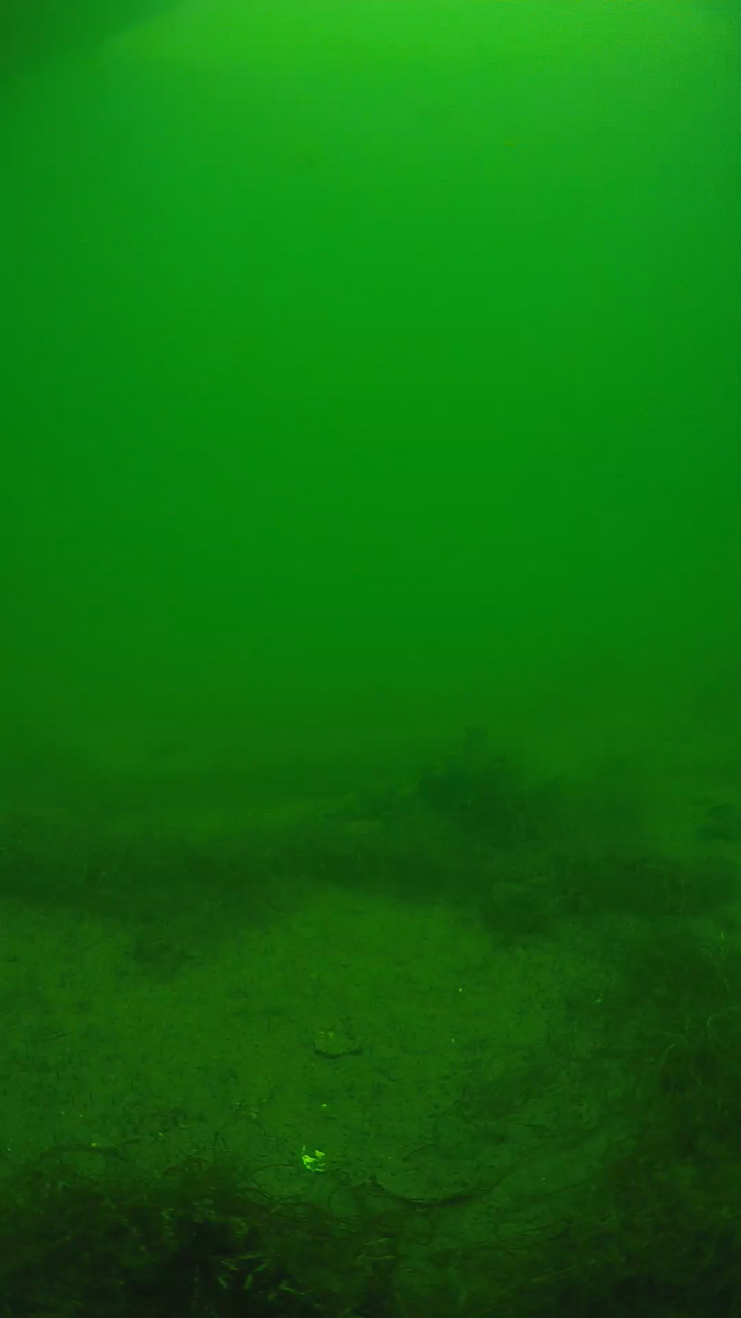 lander_ipcam_20250604131612.png