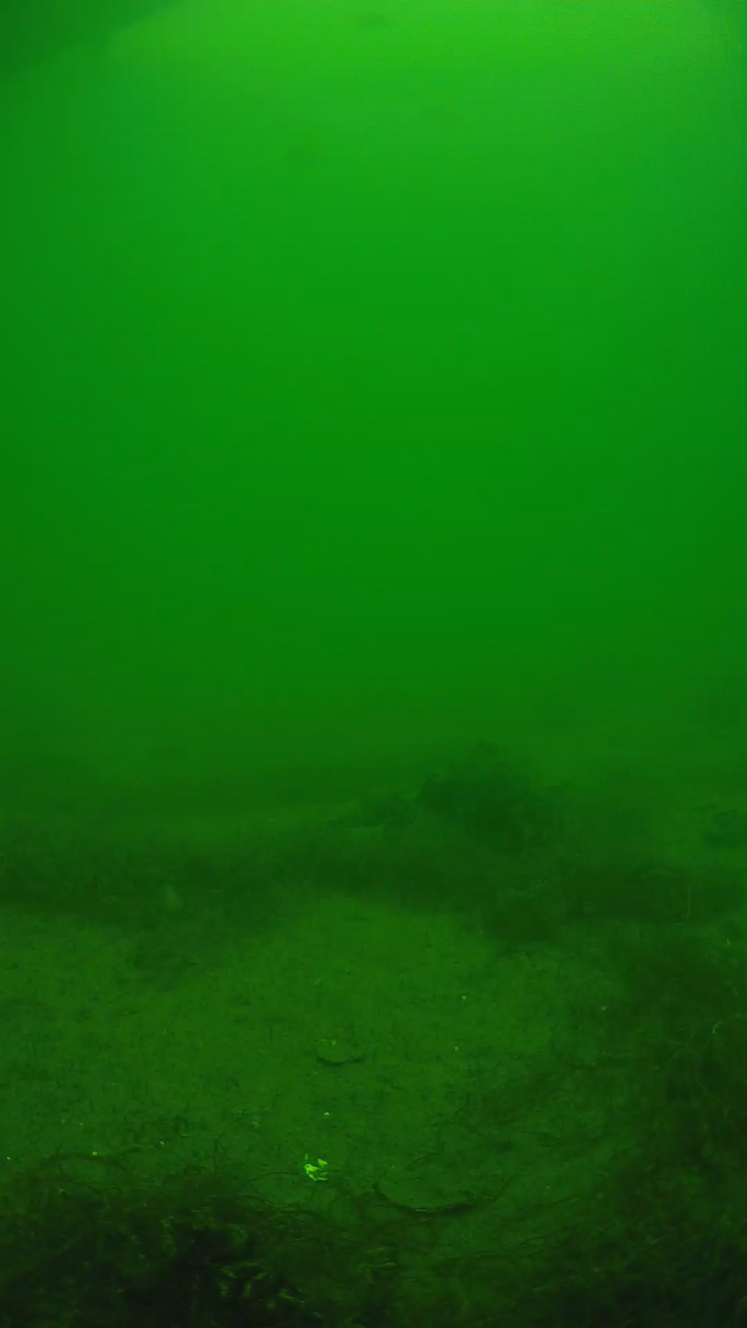 lander_ipcam_20250604131642.png