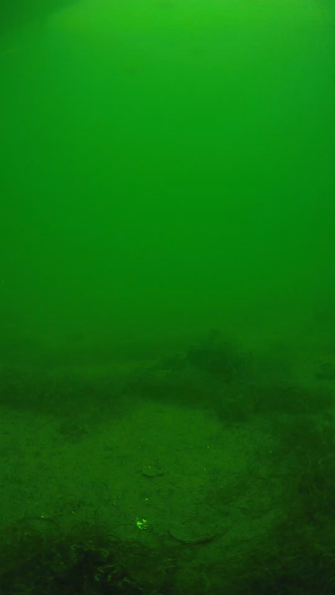 lander_ipcam_20250604131651.png