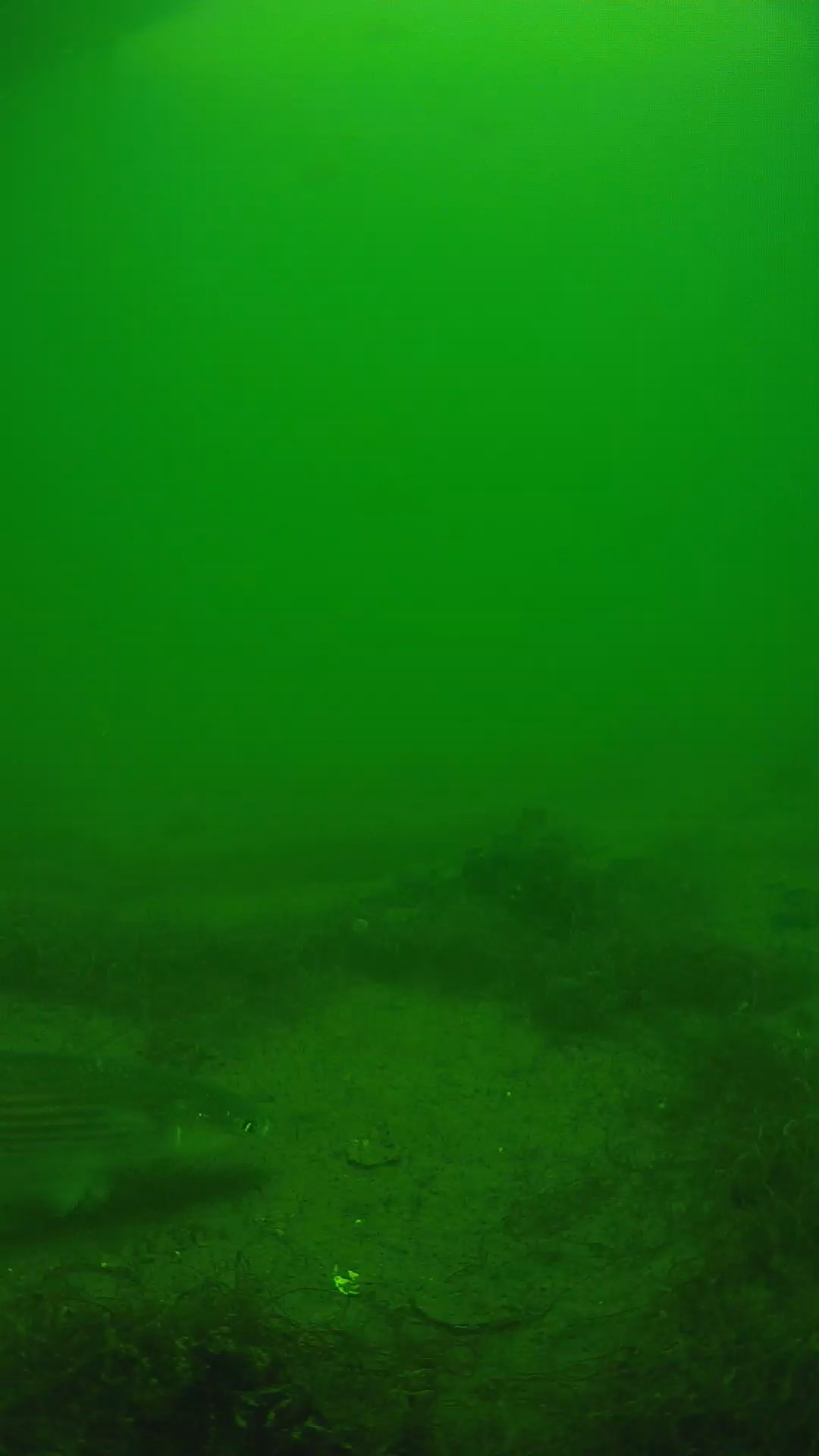 lander_ipcam_20250604131657.png