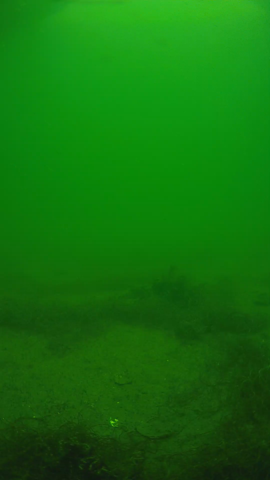 lander_ipcam_20250604133106.png