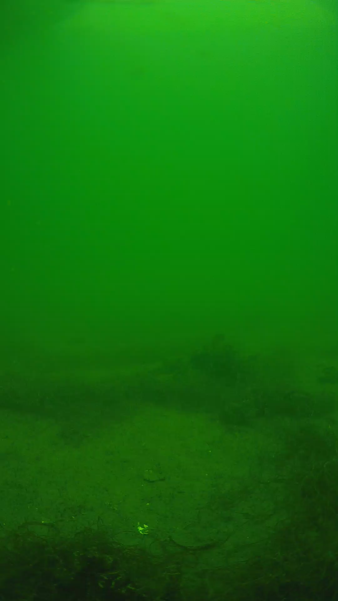 lander_ipcam_20250604133108.png