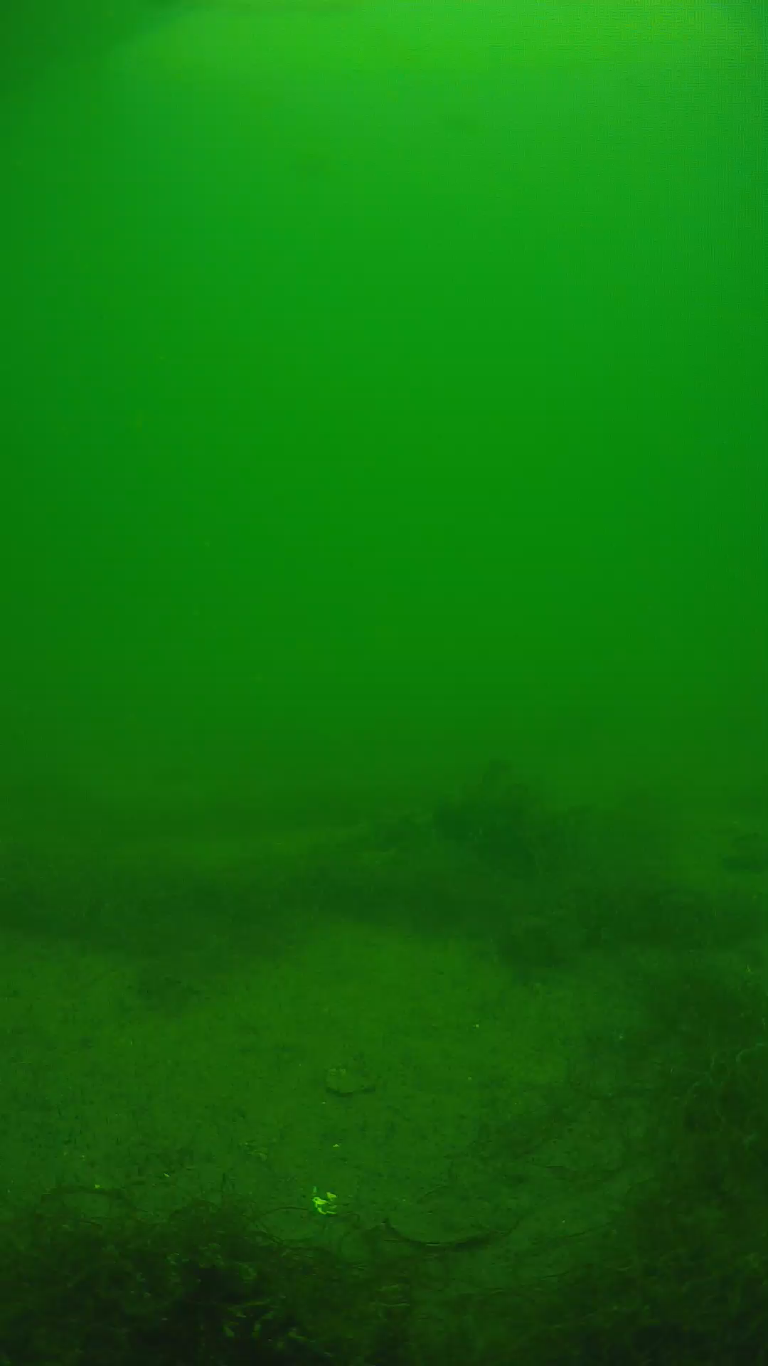 lander_ipcam_20250604133118.png