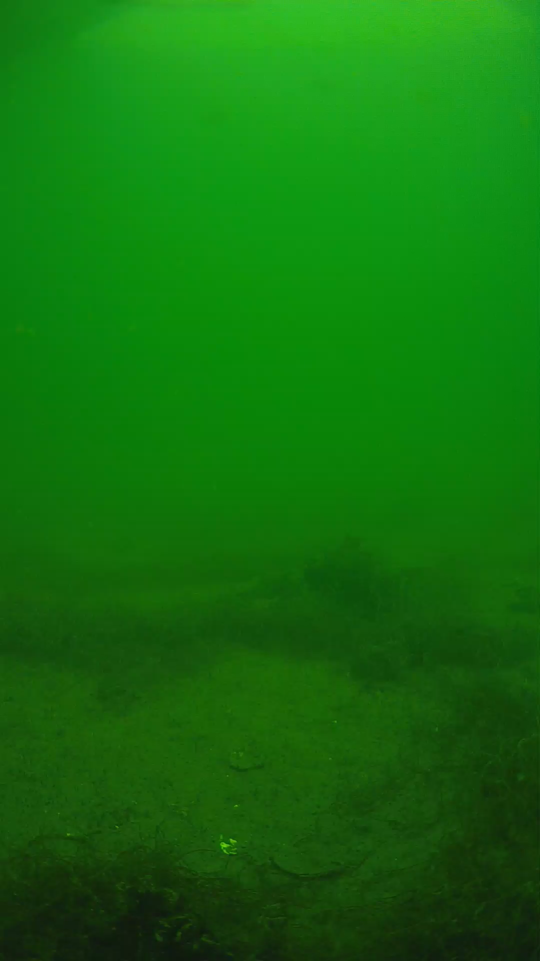 lander_ipcam_20250604133121.png