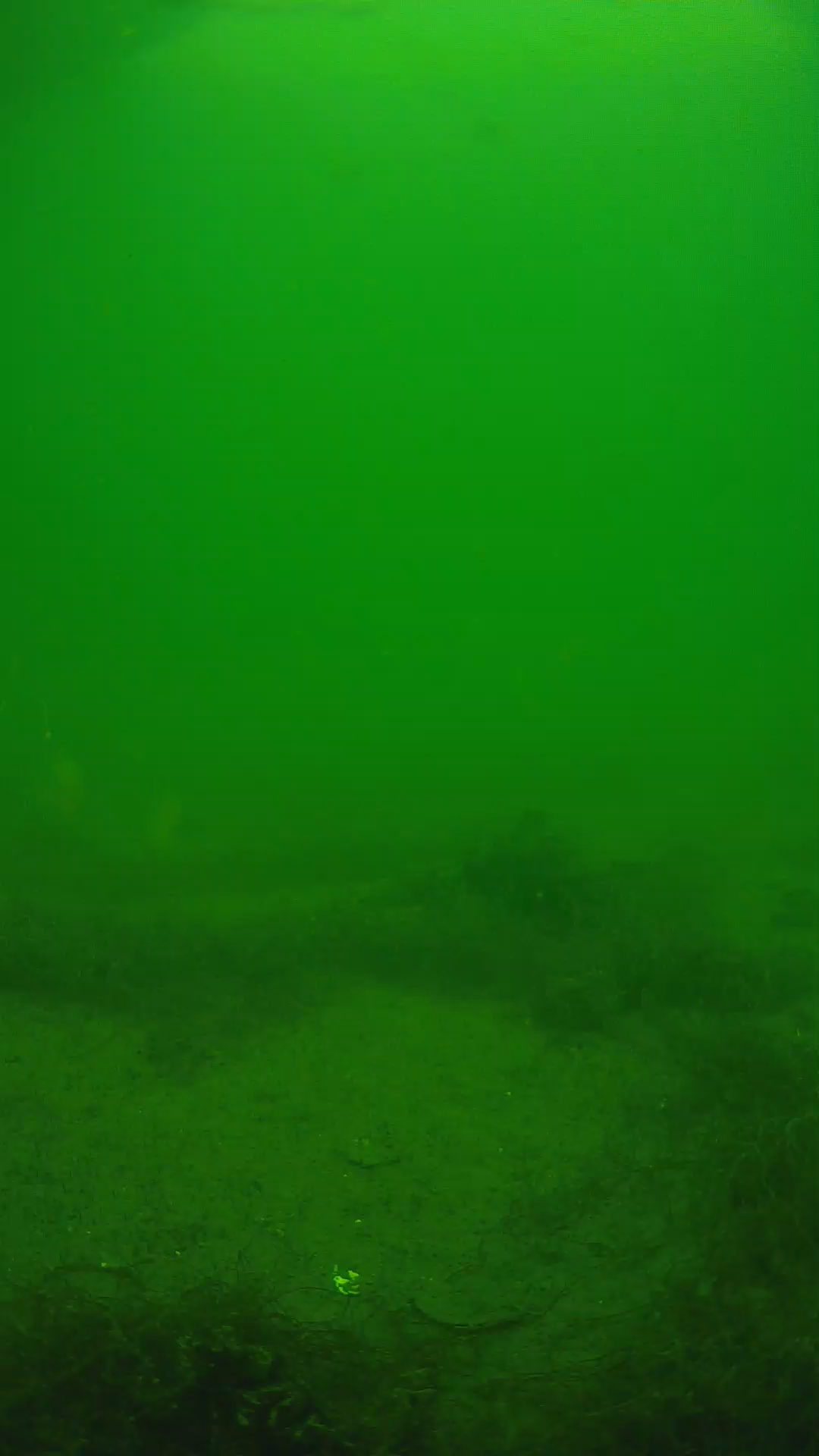 lander_ipcam_20250604133130.png