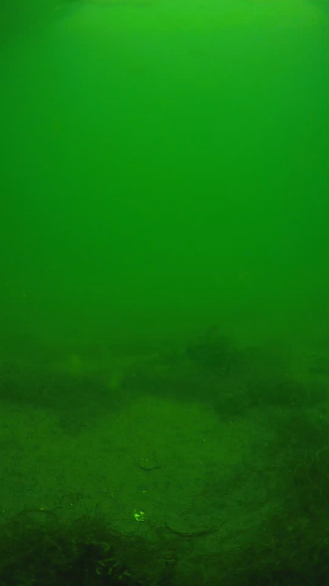 lander_ipcam_20250604133131.png