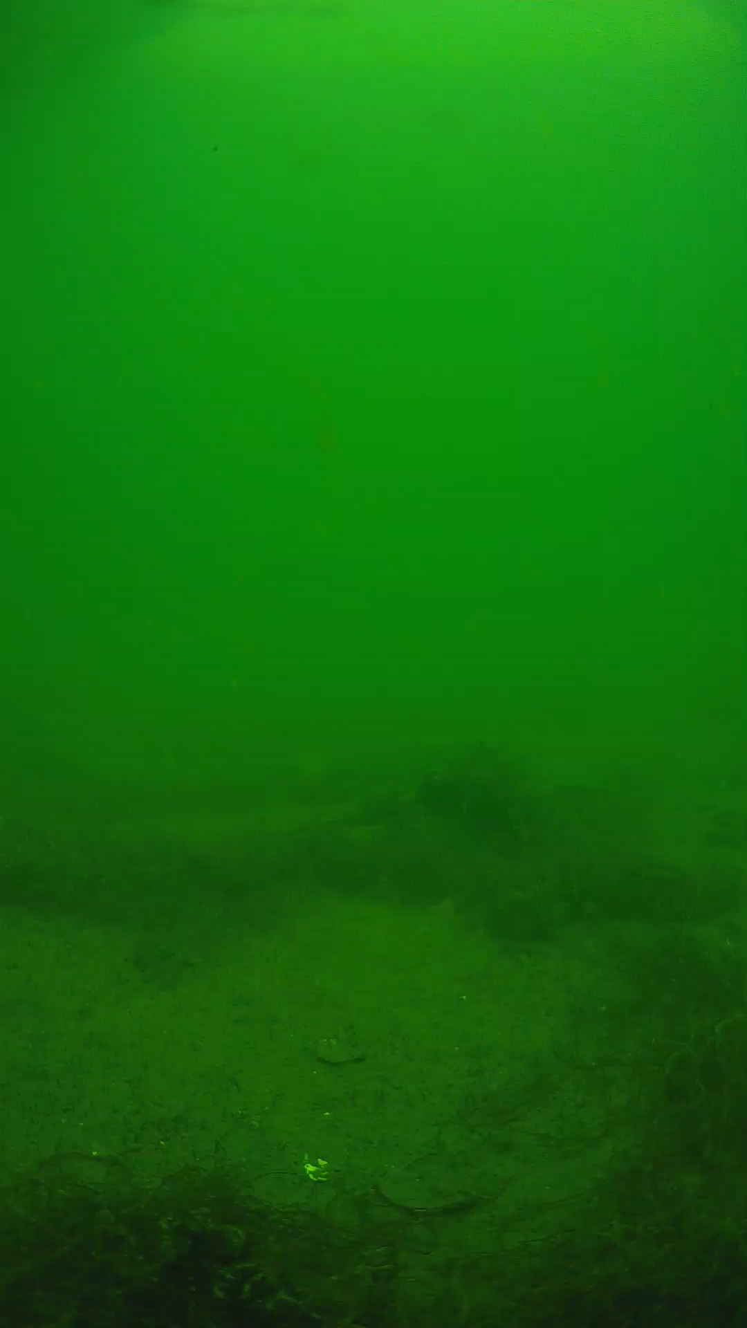 lander_ipcam_20250604133139.png