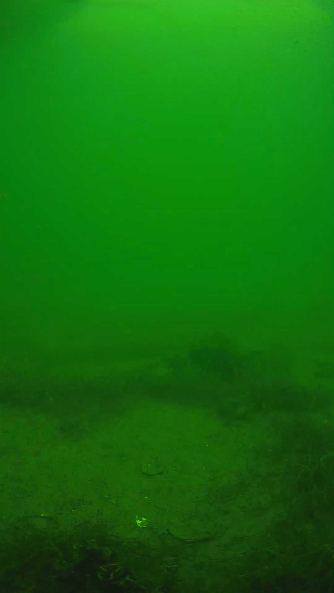 lander_ipcam_20250604133151.png