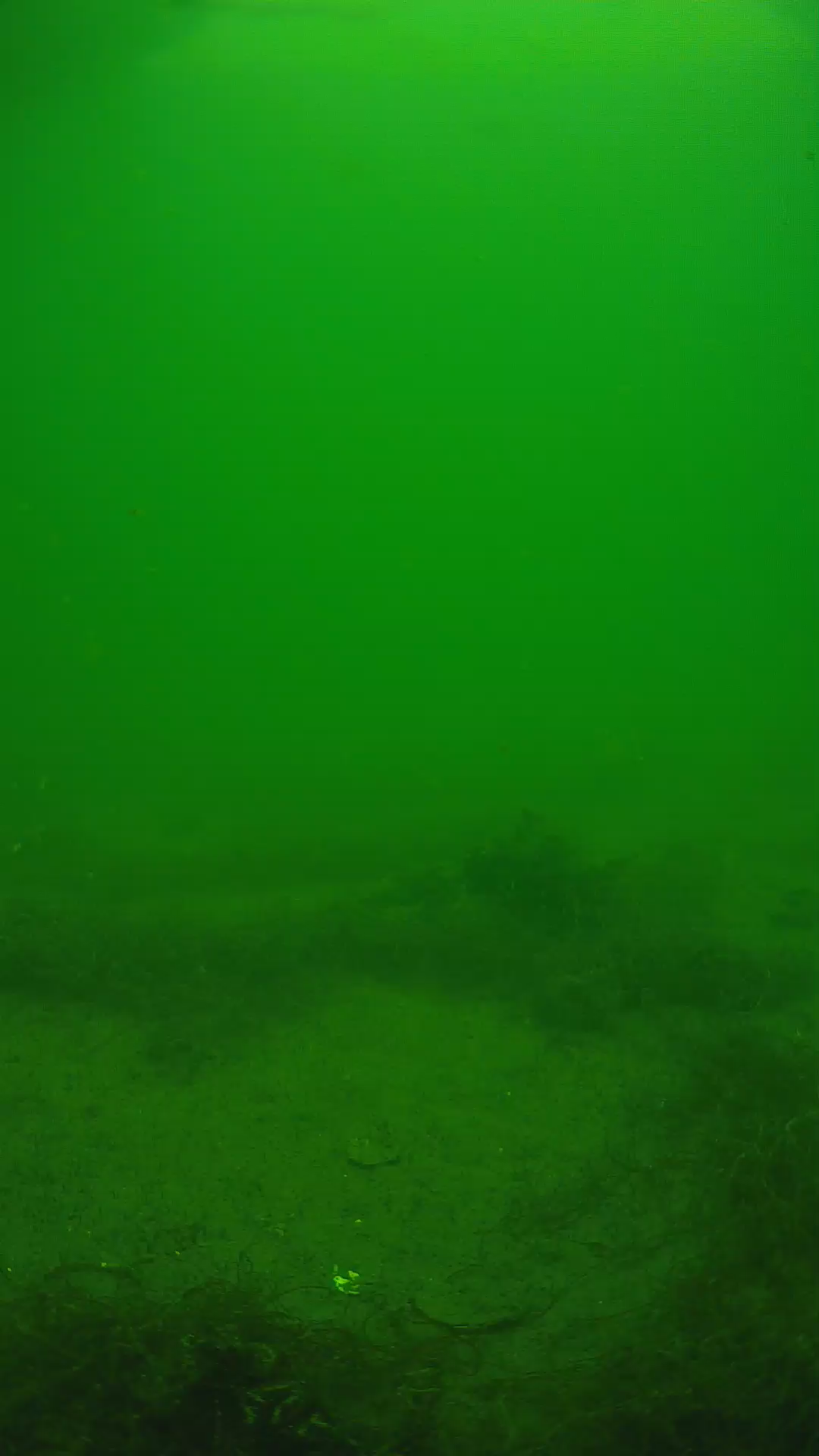 lander_ipcam_20250604133153.png