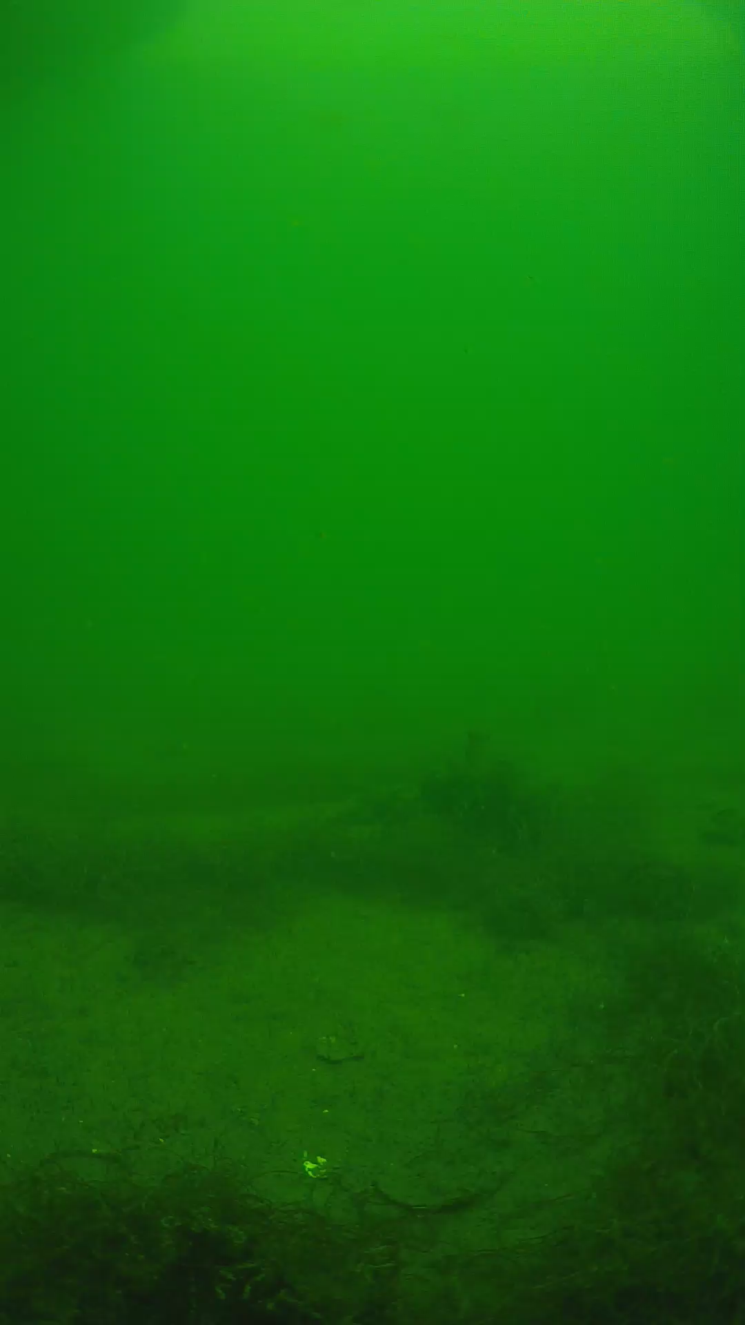 lander_ipcam_20250604133158.png