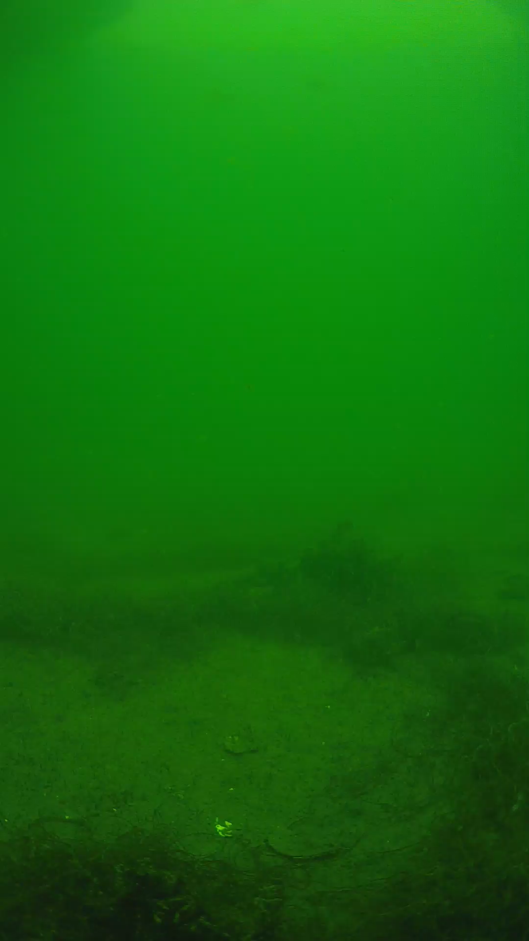 lander_ipcam_20250604133159.png