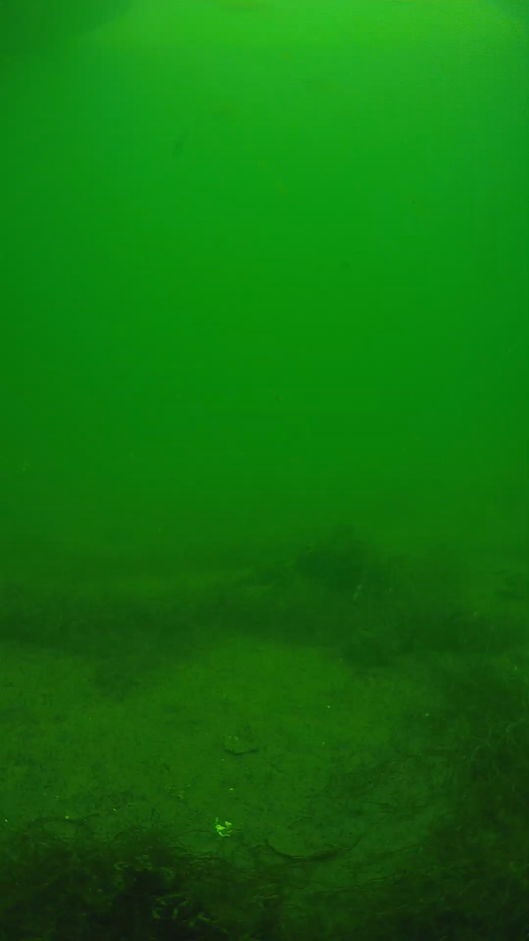 lander_ipcam_20250604133201.png