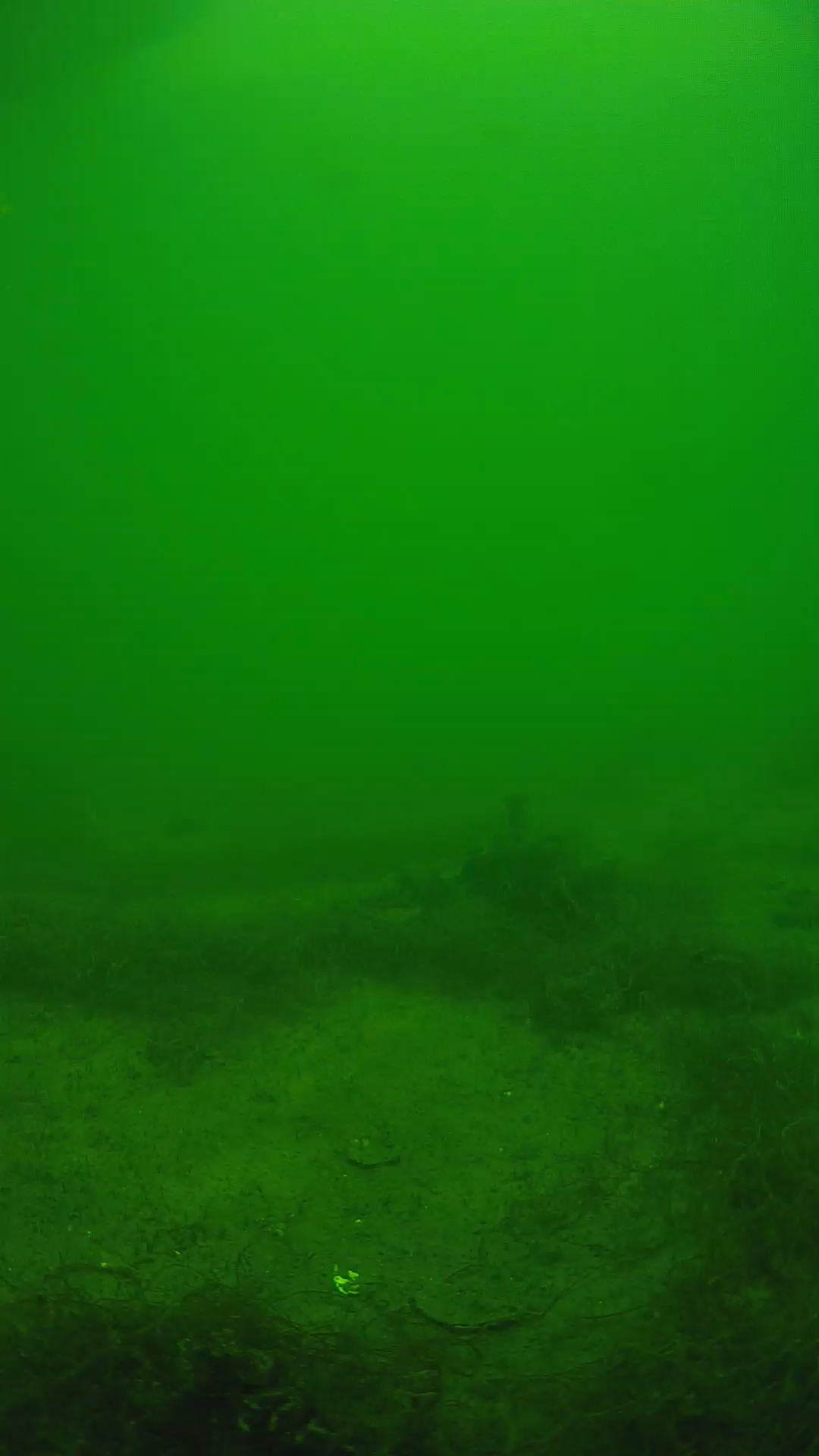 lander_ipcam_20250604134602.png