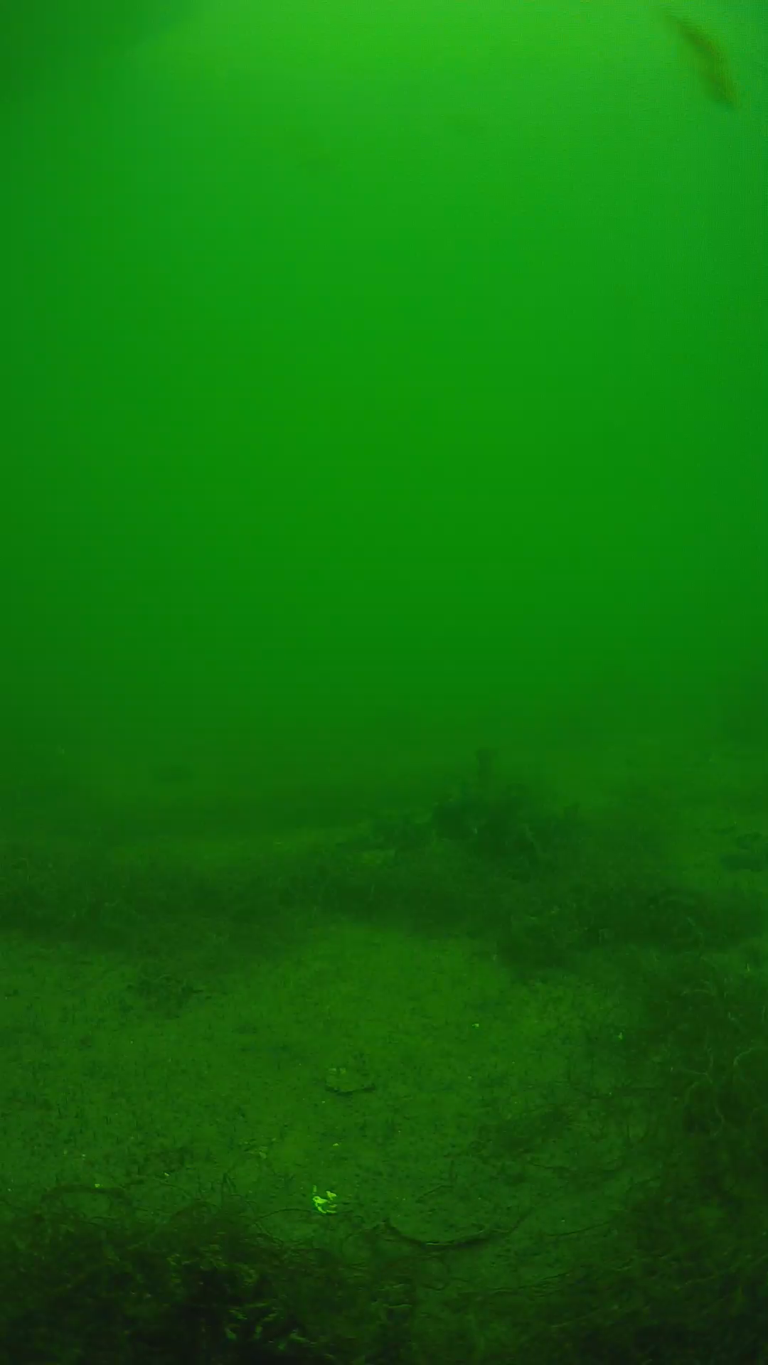 lander_ipcam_20250604134606.png