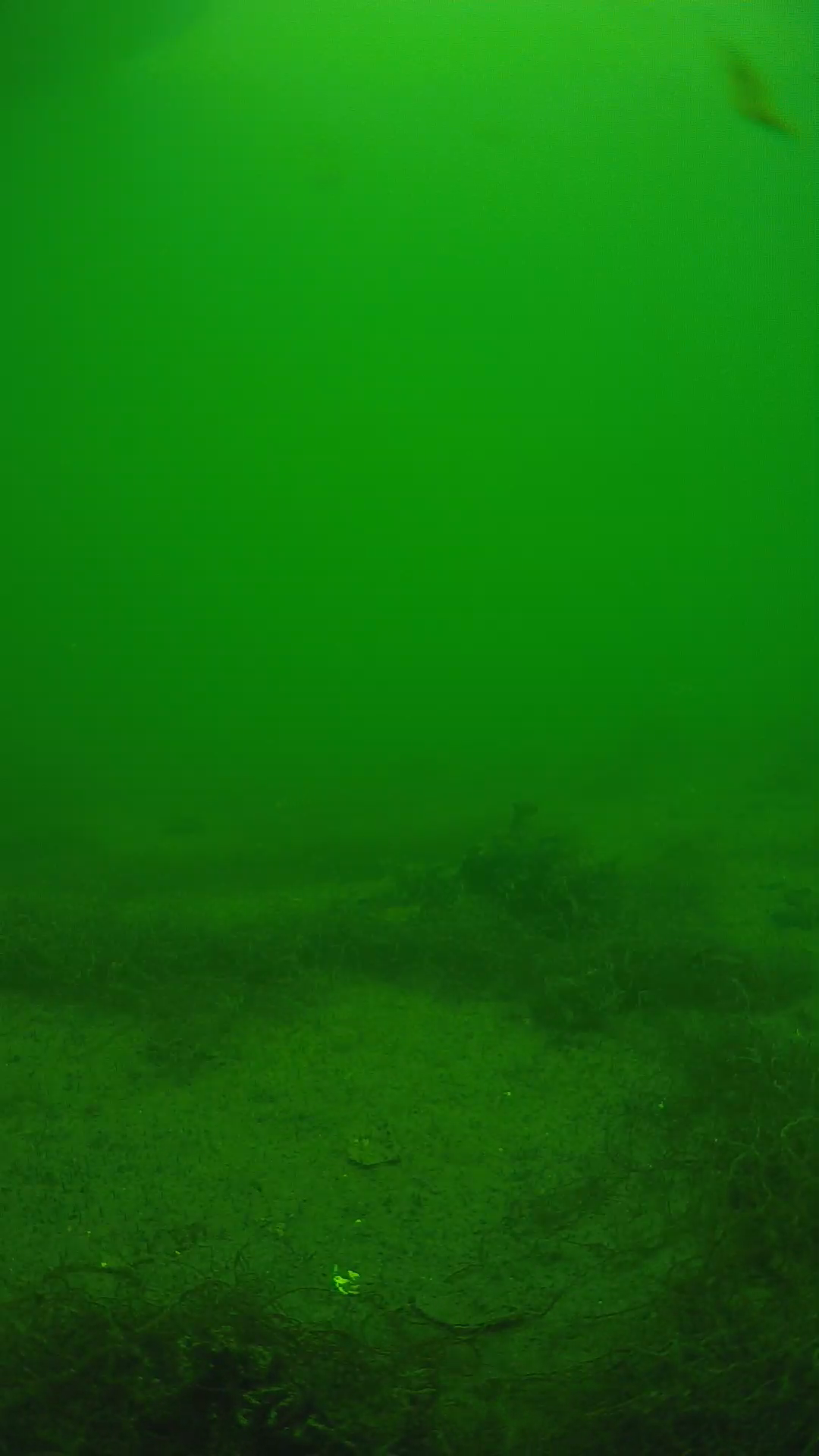 lander_ipcam_20250604134616.png