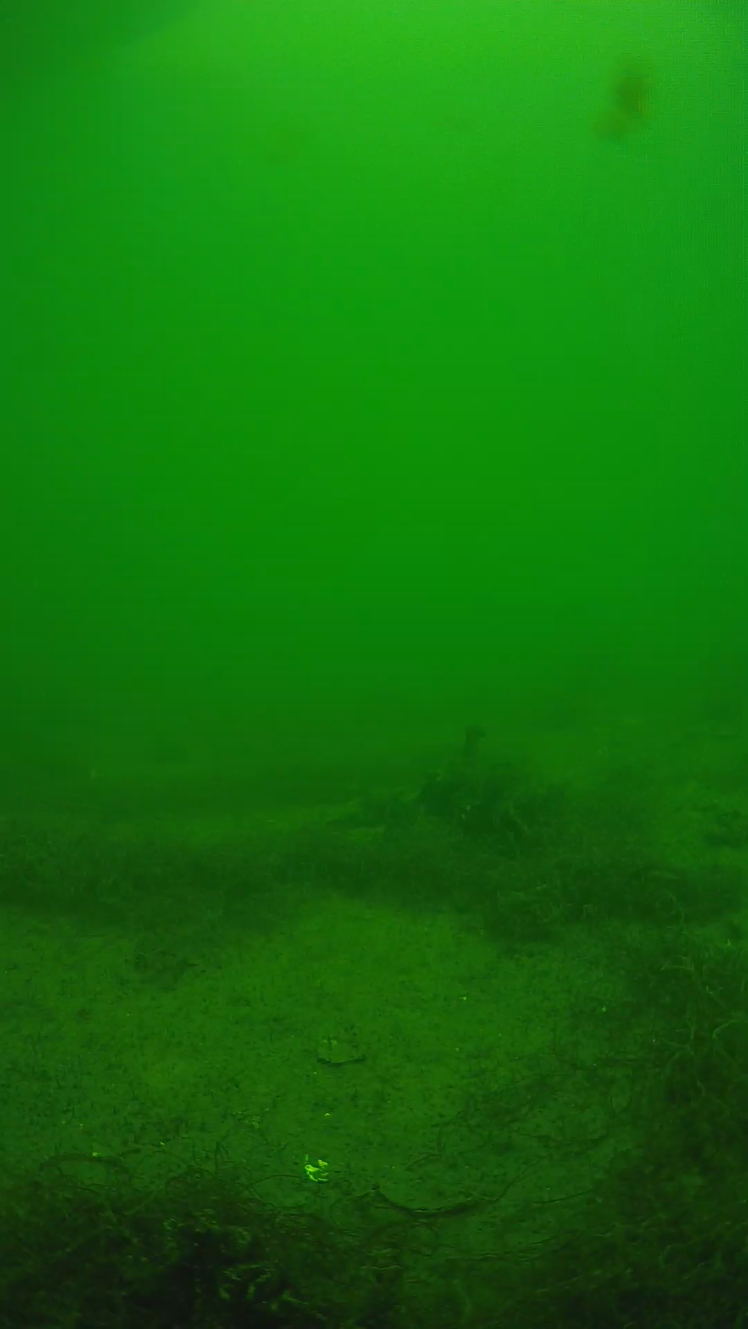 lander_ipcam_20250604134621.png