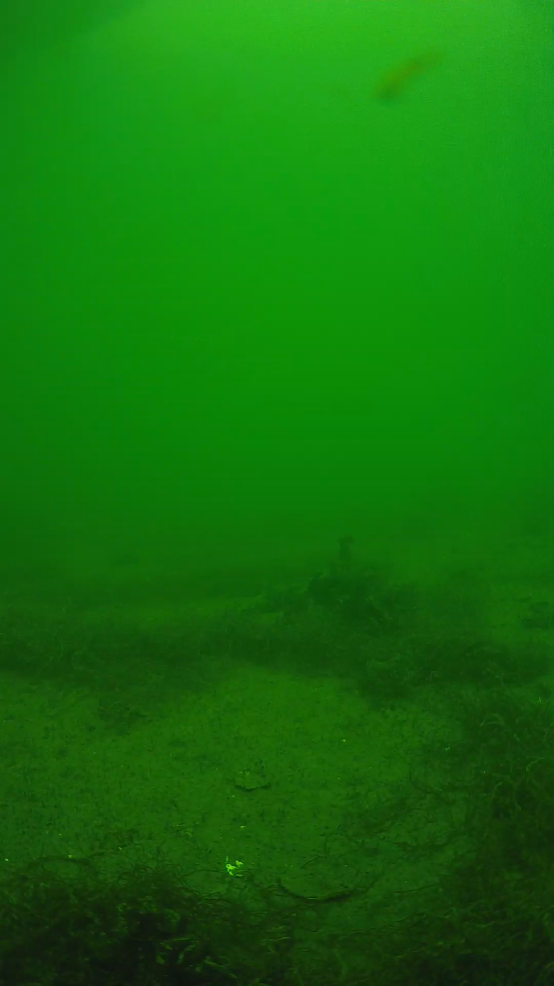 lander_ipcam_20250604134625.png