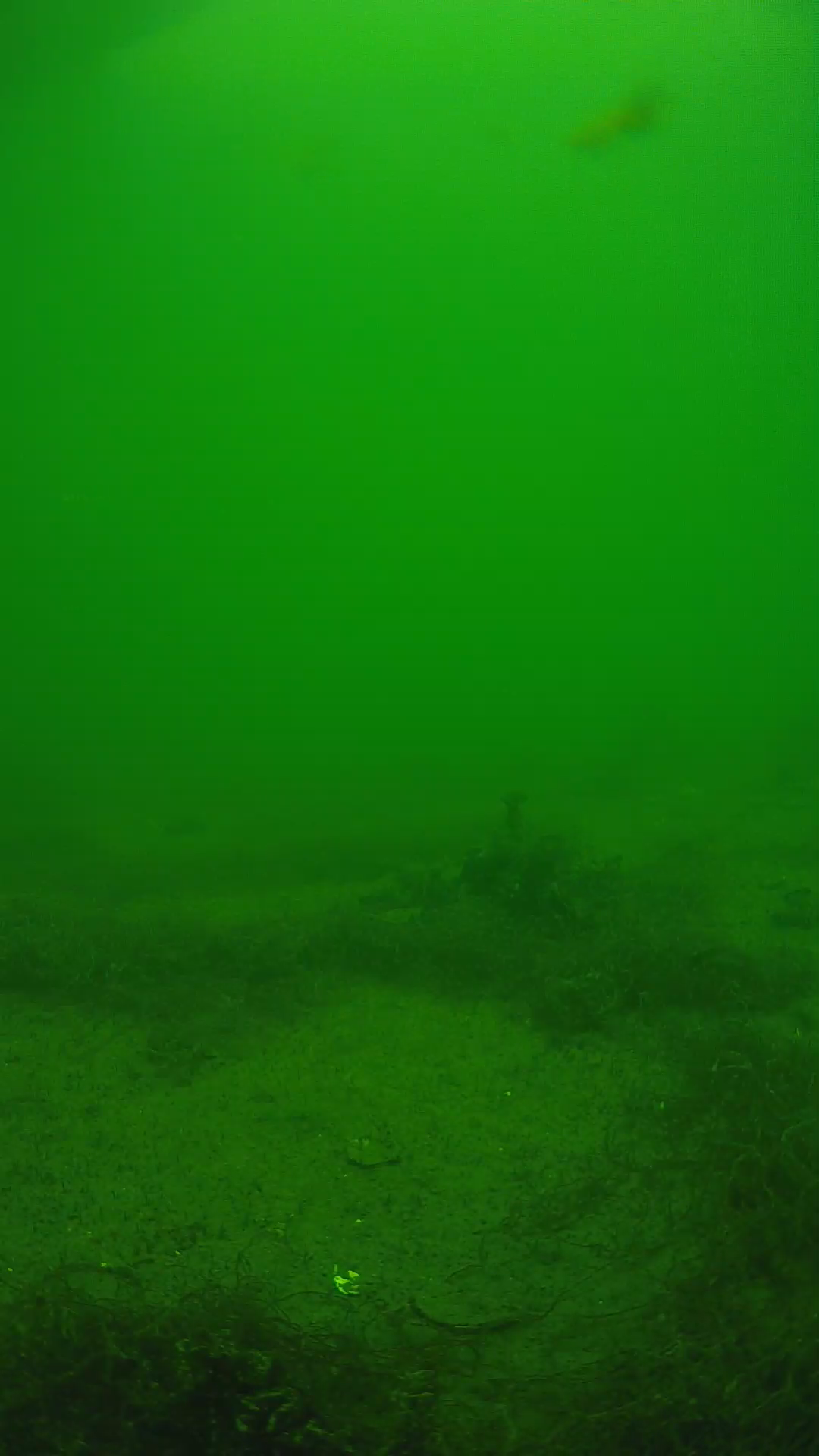 lander_ipcam_20250604134628.png