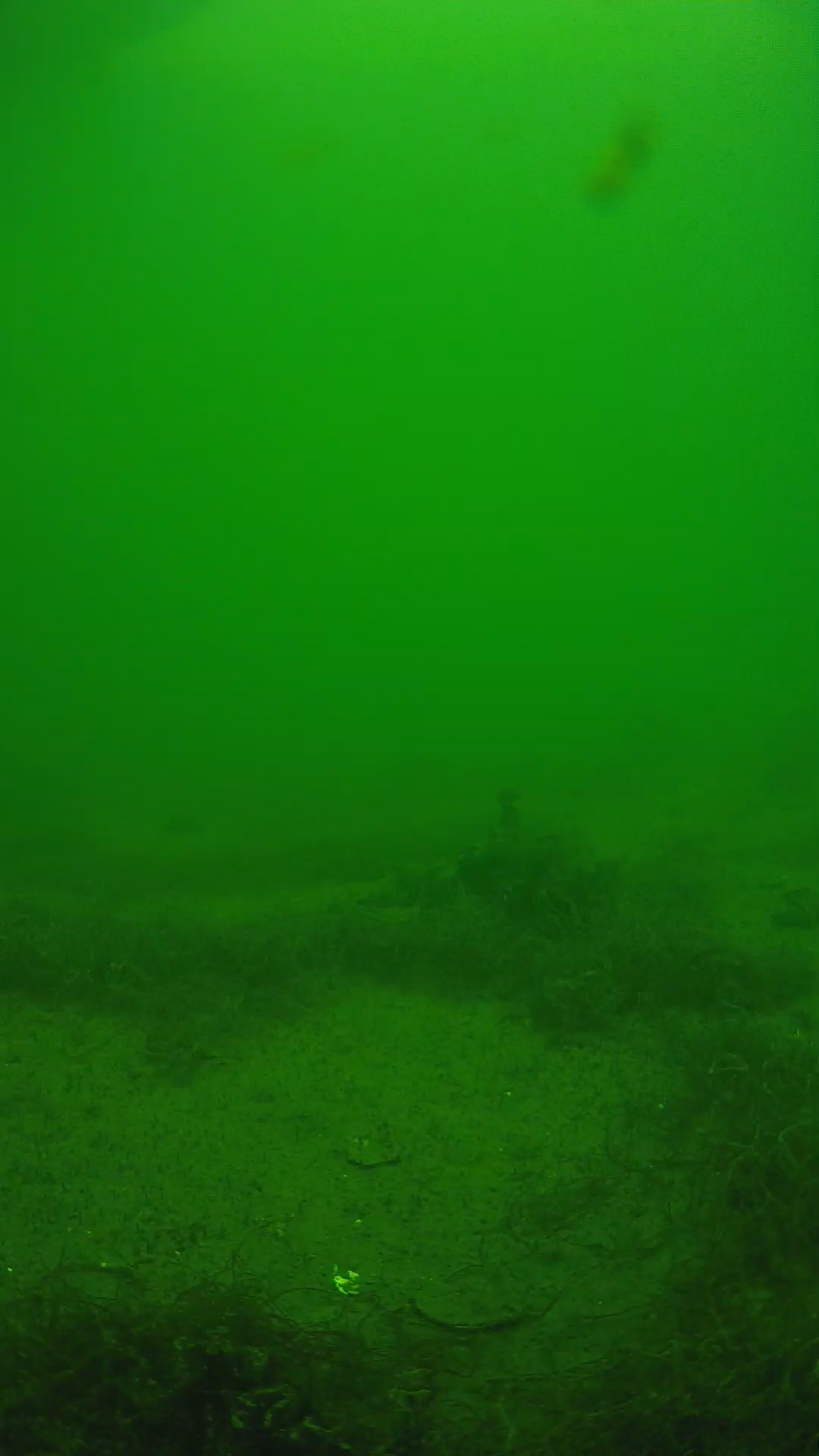 lander_ipcam_20250604134634.png