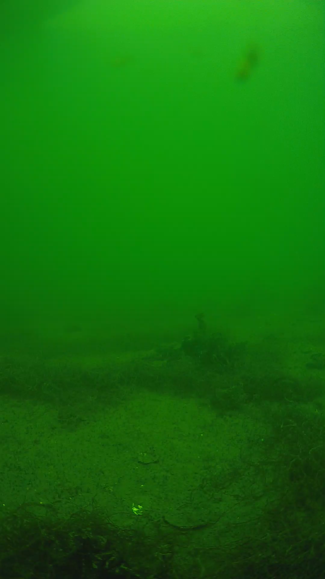 lander_ipcam_20250604134635.png
