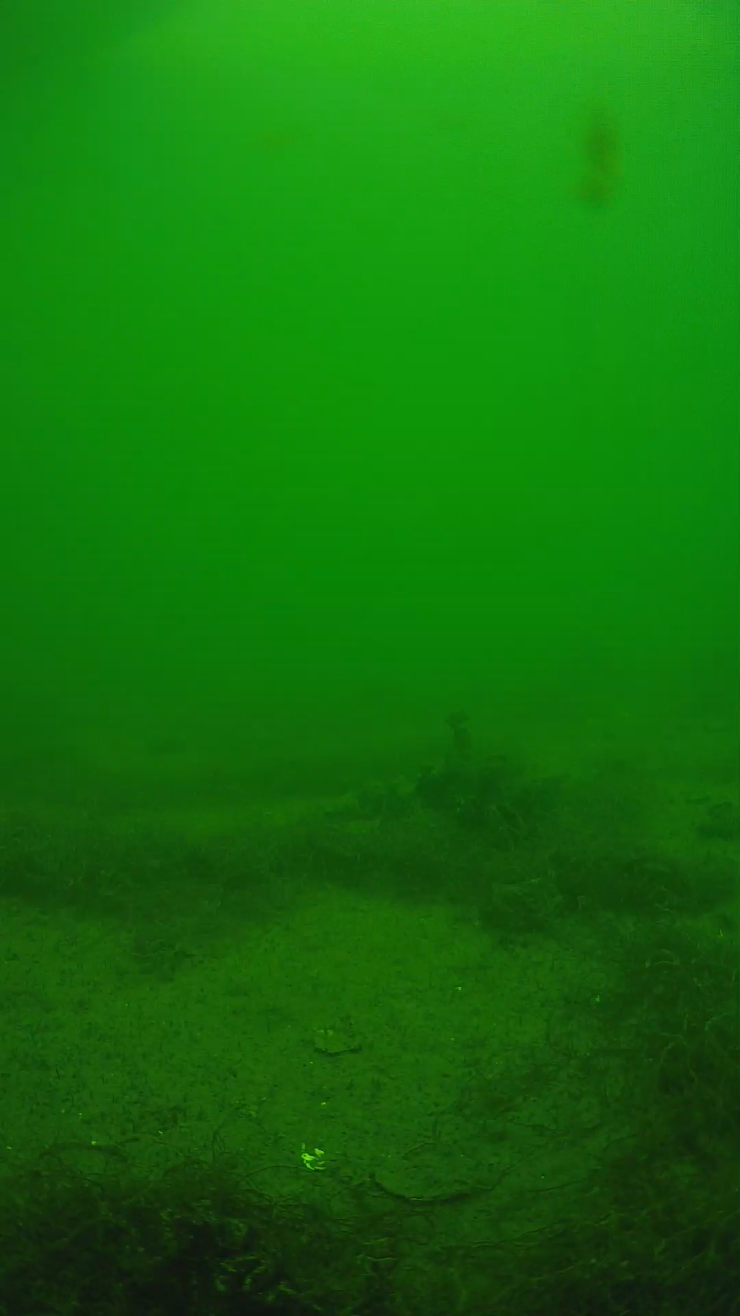 lander_ipcam_20250604134636.png