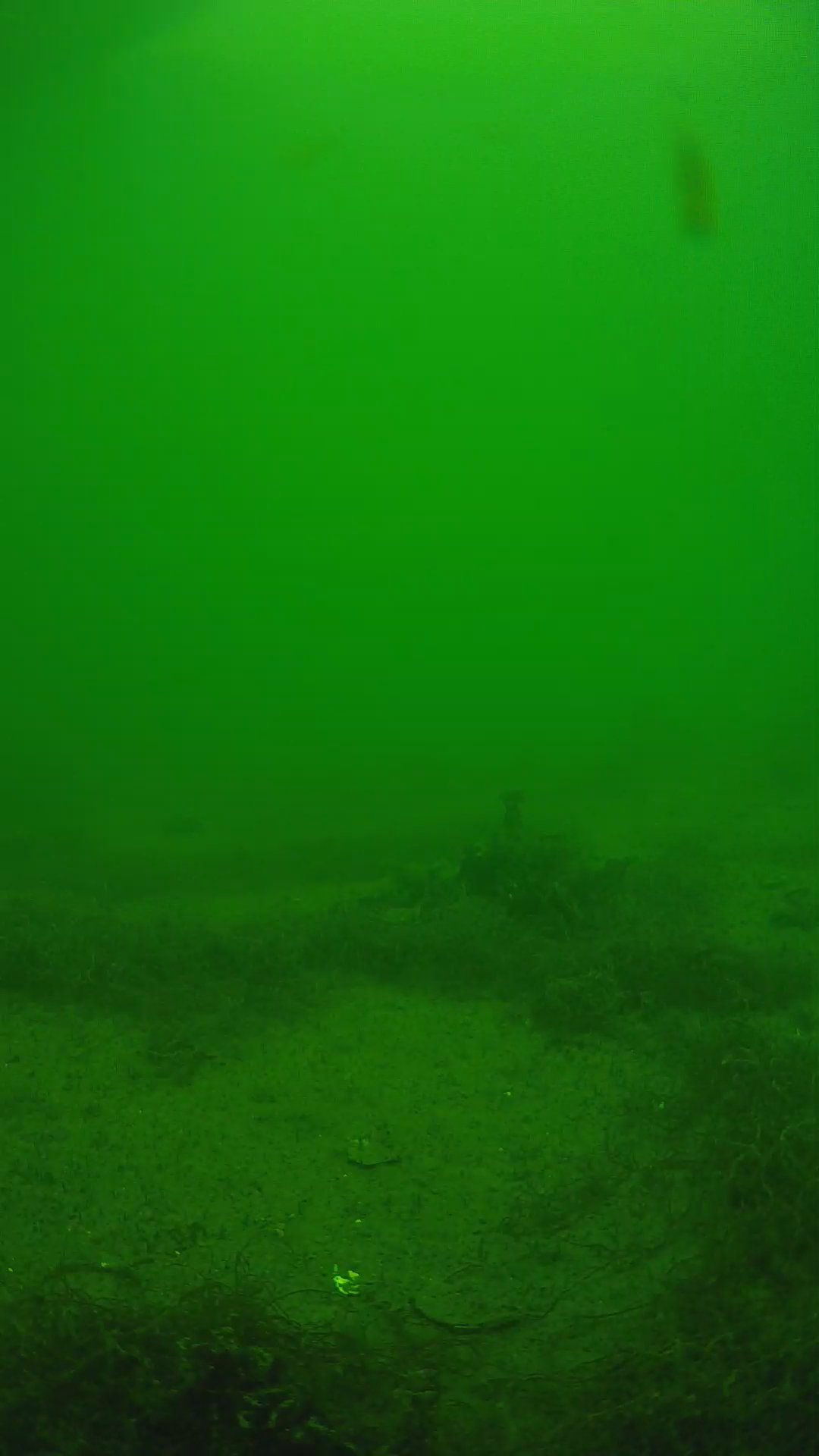 lander_ipcam_20250604134638.png