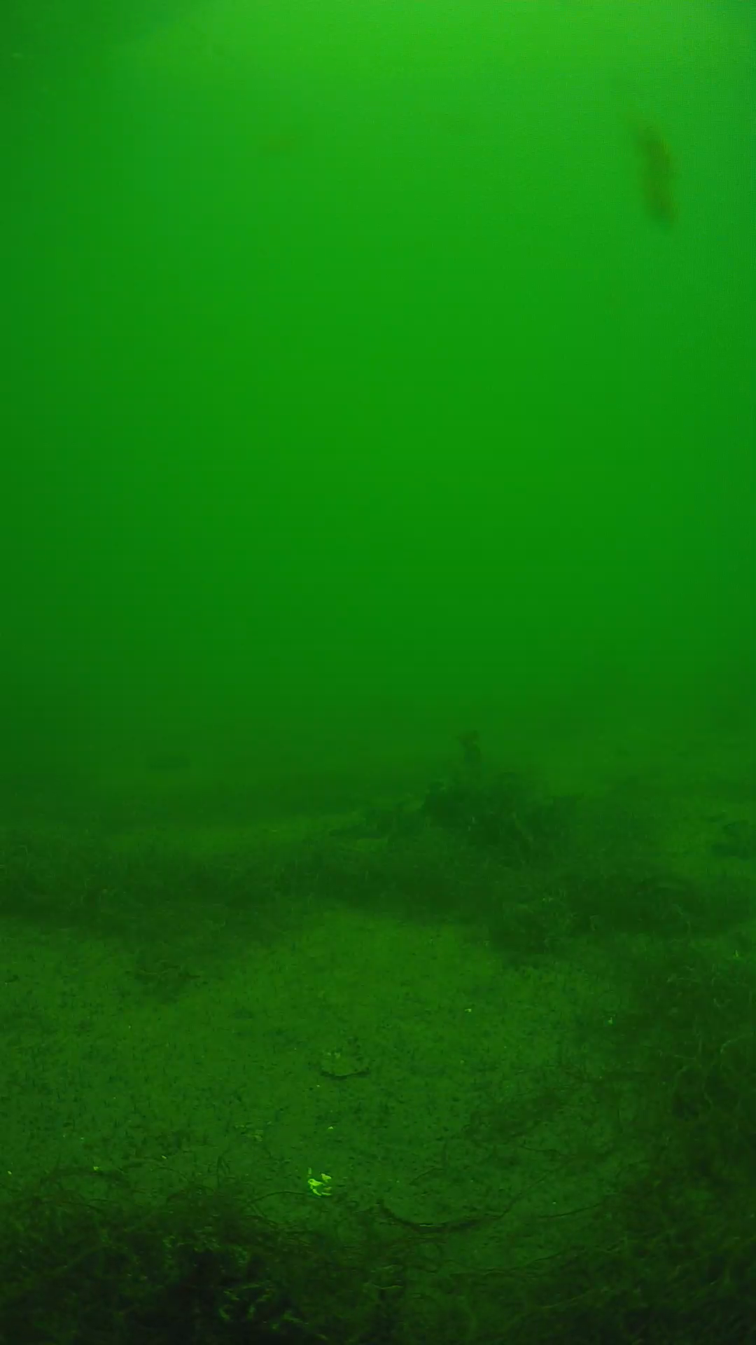 lander_ipcam_20250604134640.png