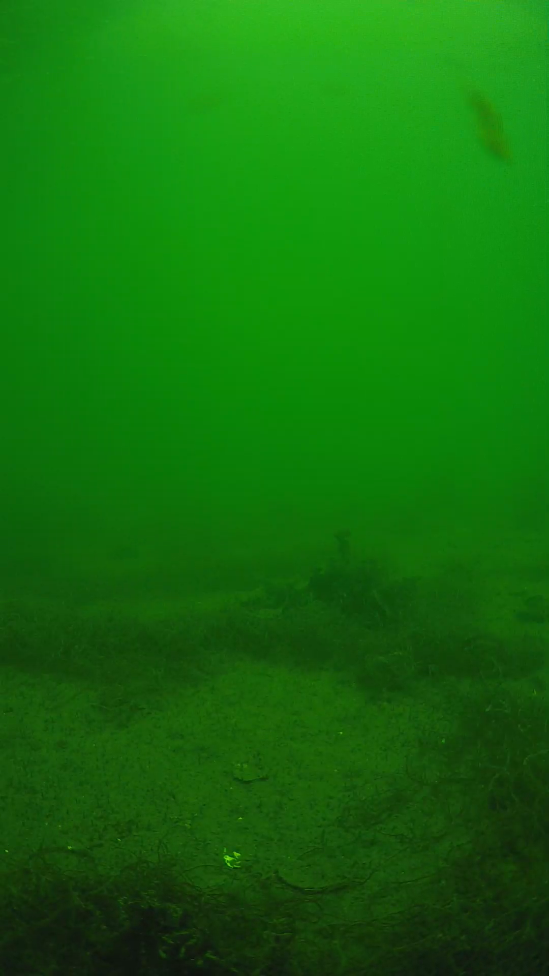 lander_ipcam_20250604134641.png