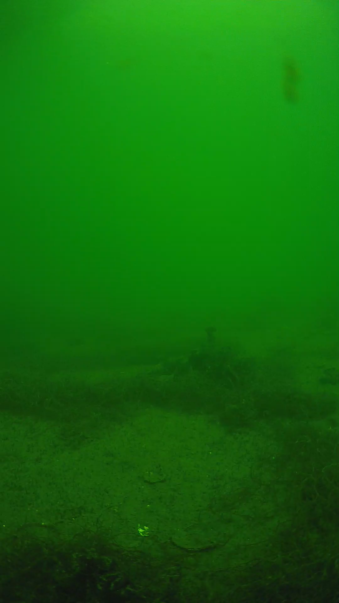 lander_ipcam_20250604134643.png