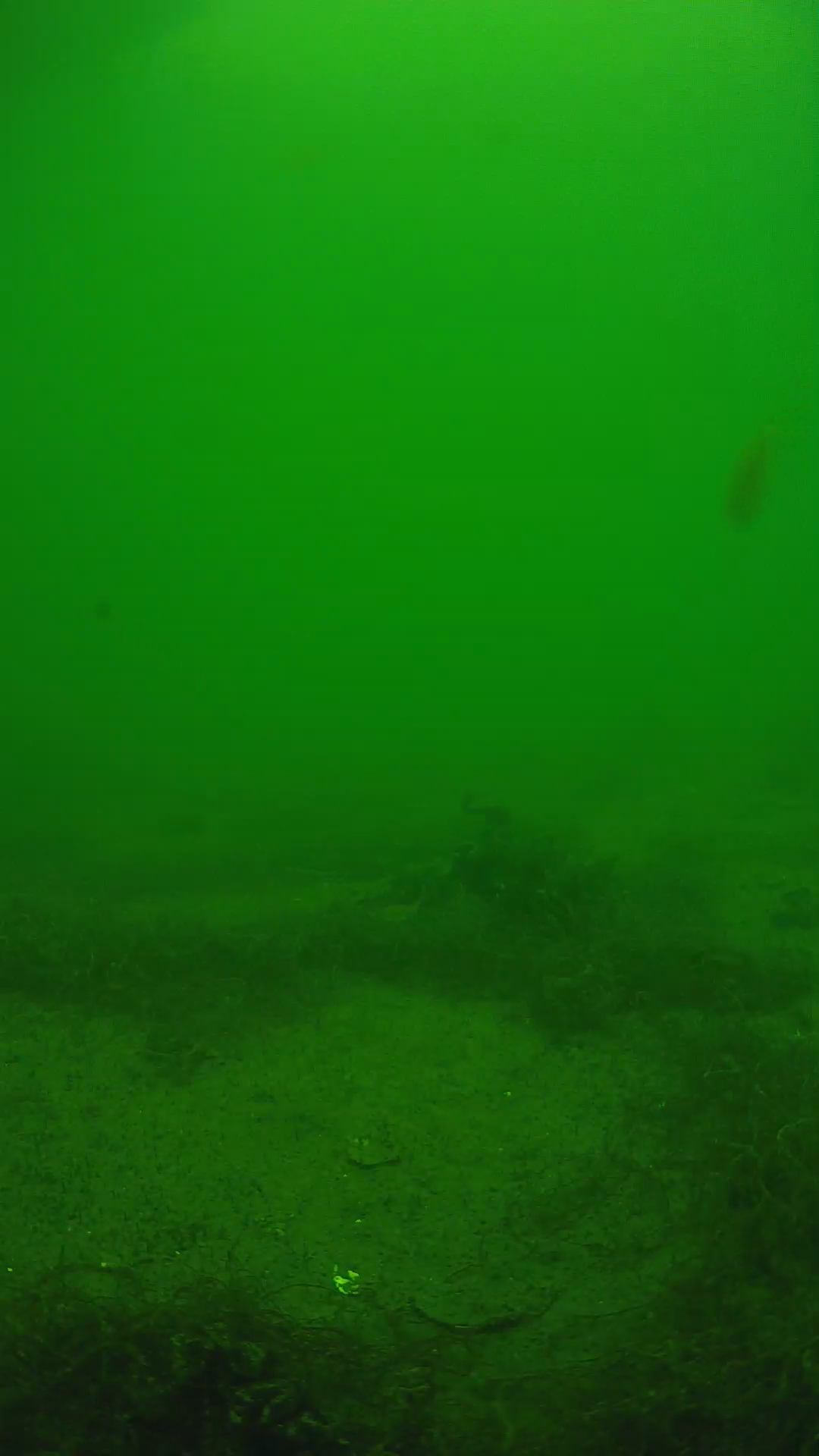 lander_ipcam_20250604134651.png