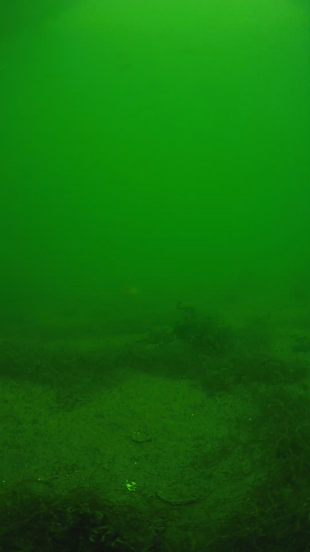 lander_ipcam_20250604134659.png