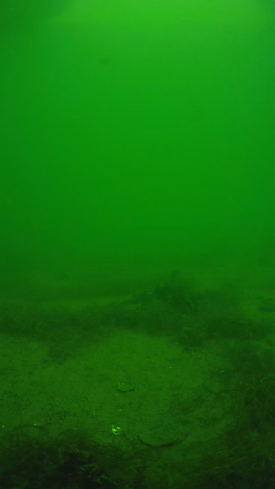 lander_ipcam_20250604140102.png