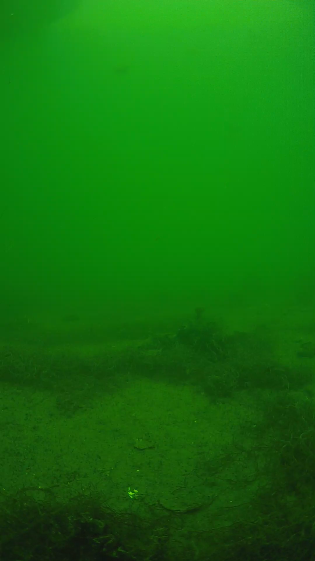 lander_ipcam_20250604140103.png