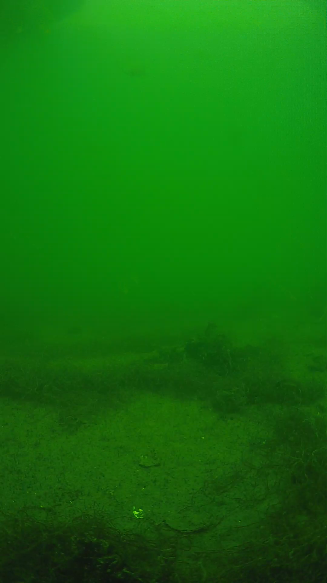 lander_ipcam_20250604140129.png