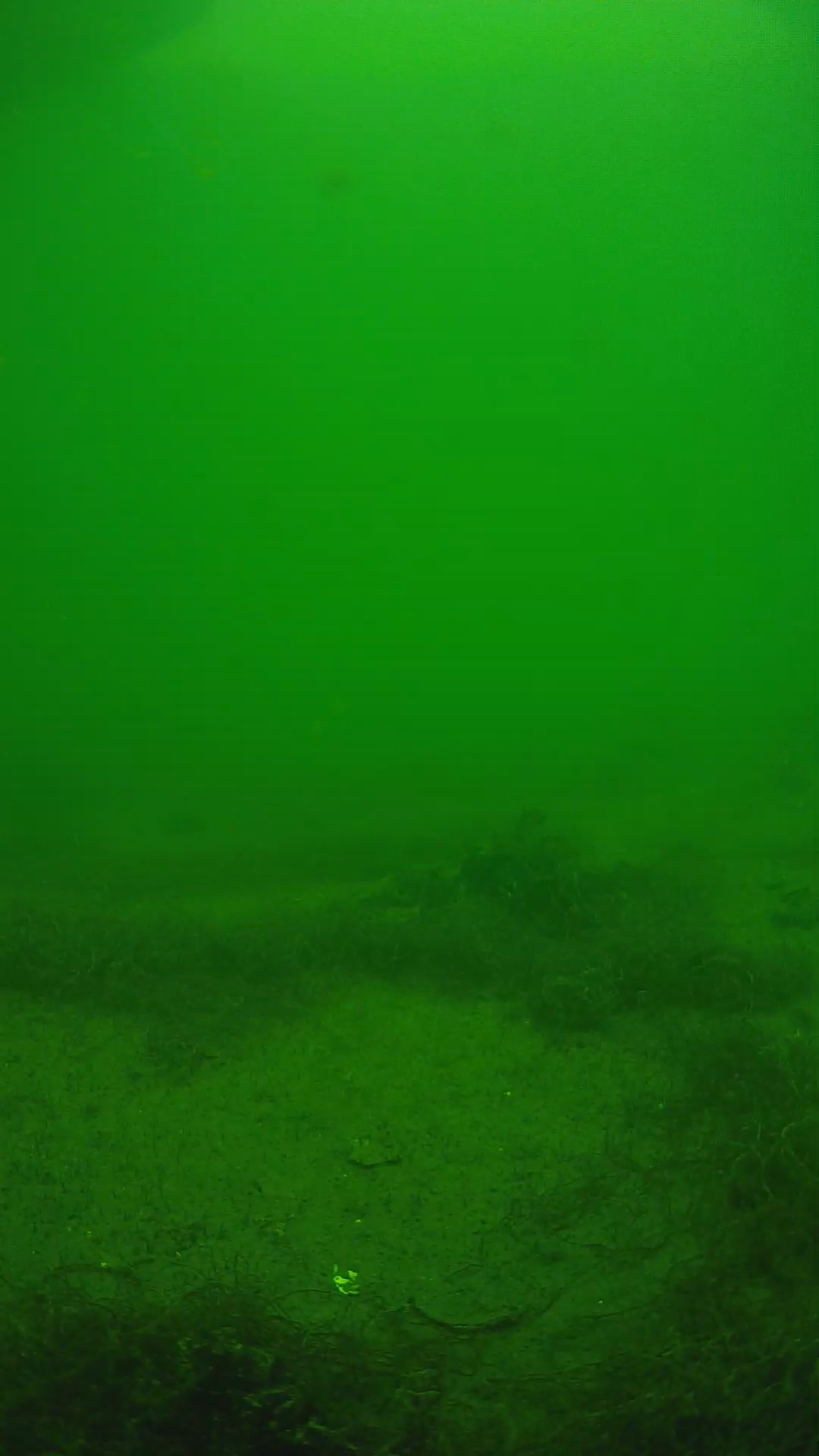lander_ipcam_20250604140130.png