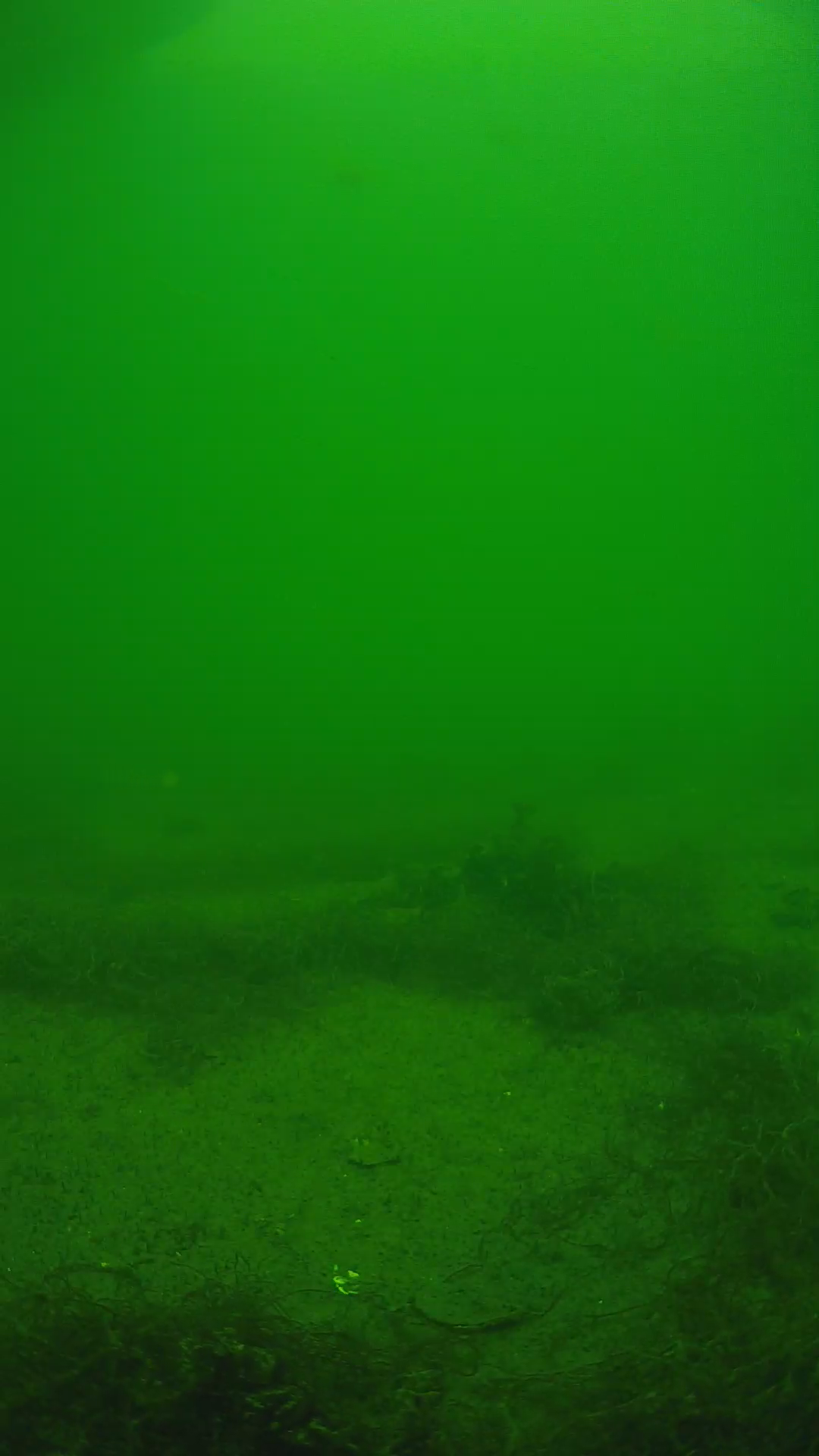 lander_ipcam_20250604140155.png