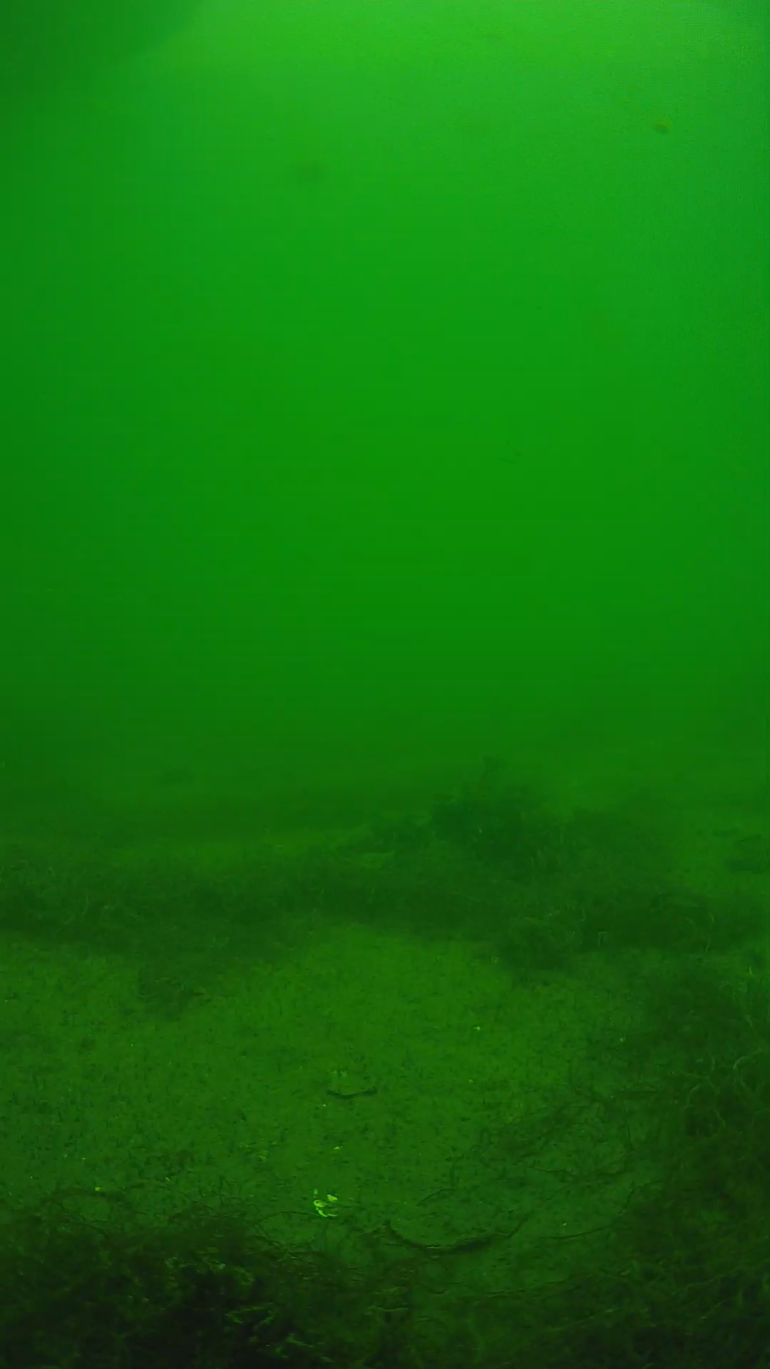 lander_ipcam_20250604140201.png