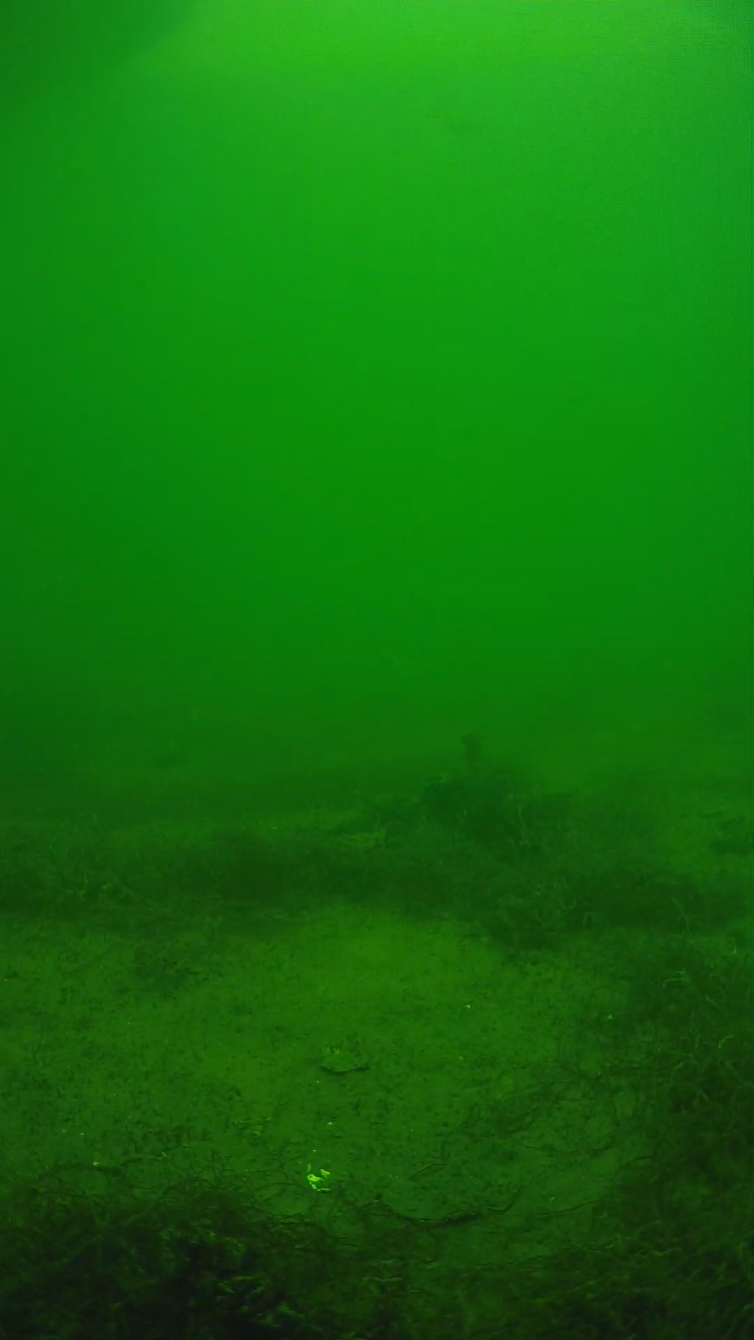 lander_ipcam_20250604141607.png