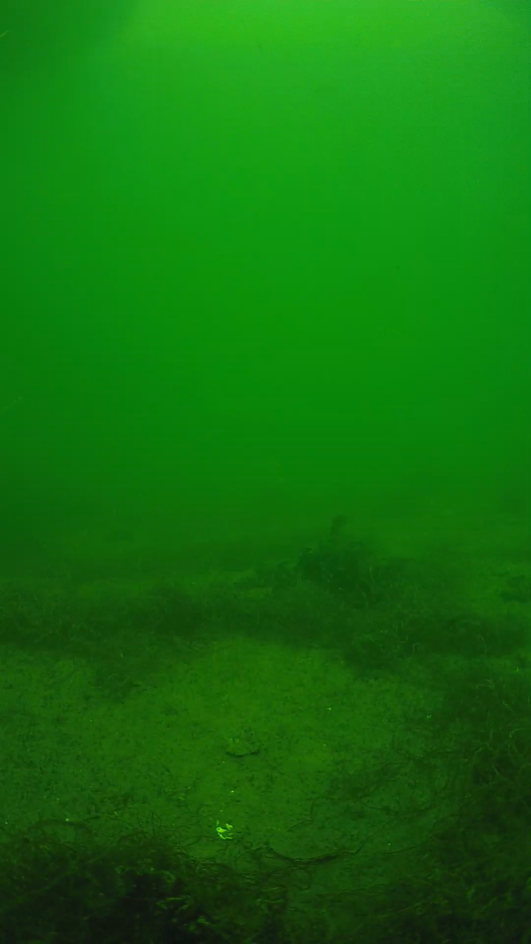 lander_ipcam_20250604141610.png