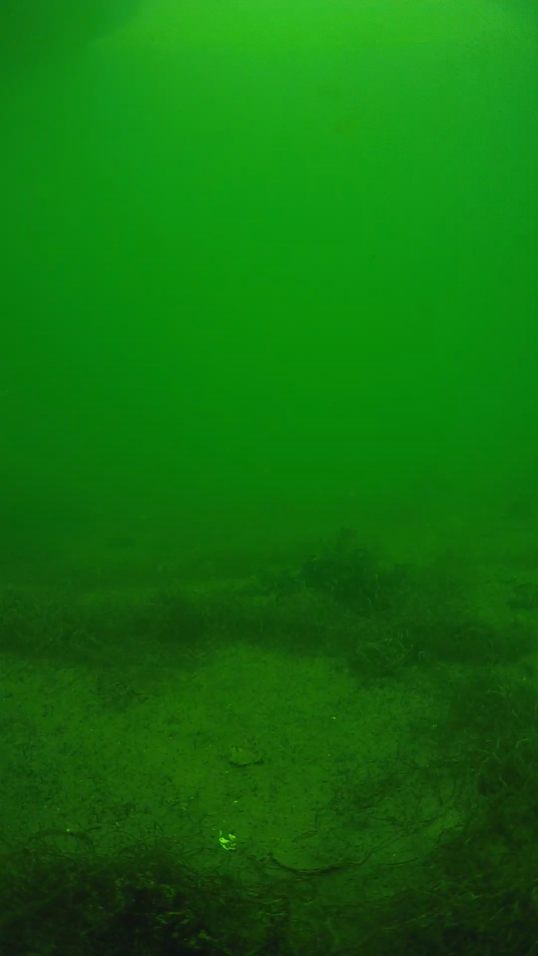 lander_ipcam_20250604141618.png