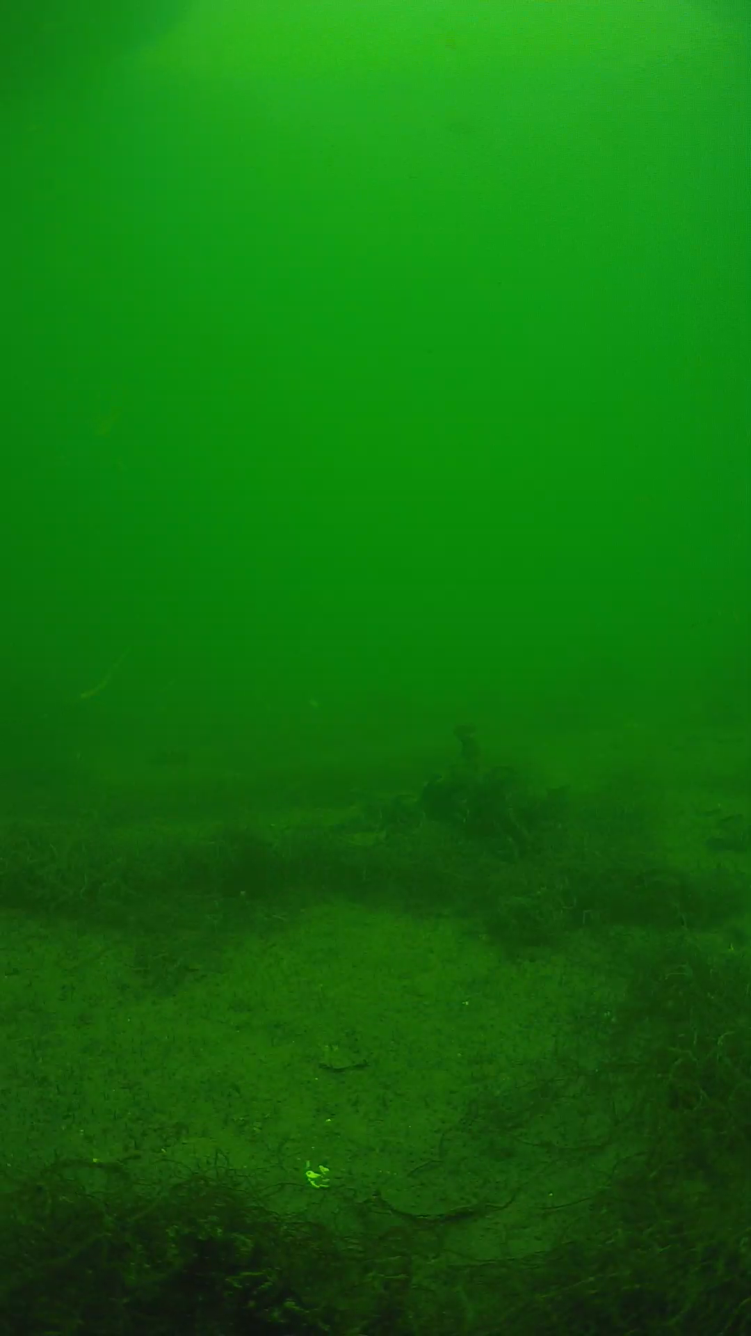 lander_ipcam_20250604141622.png