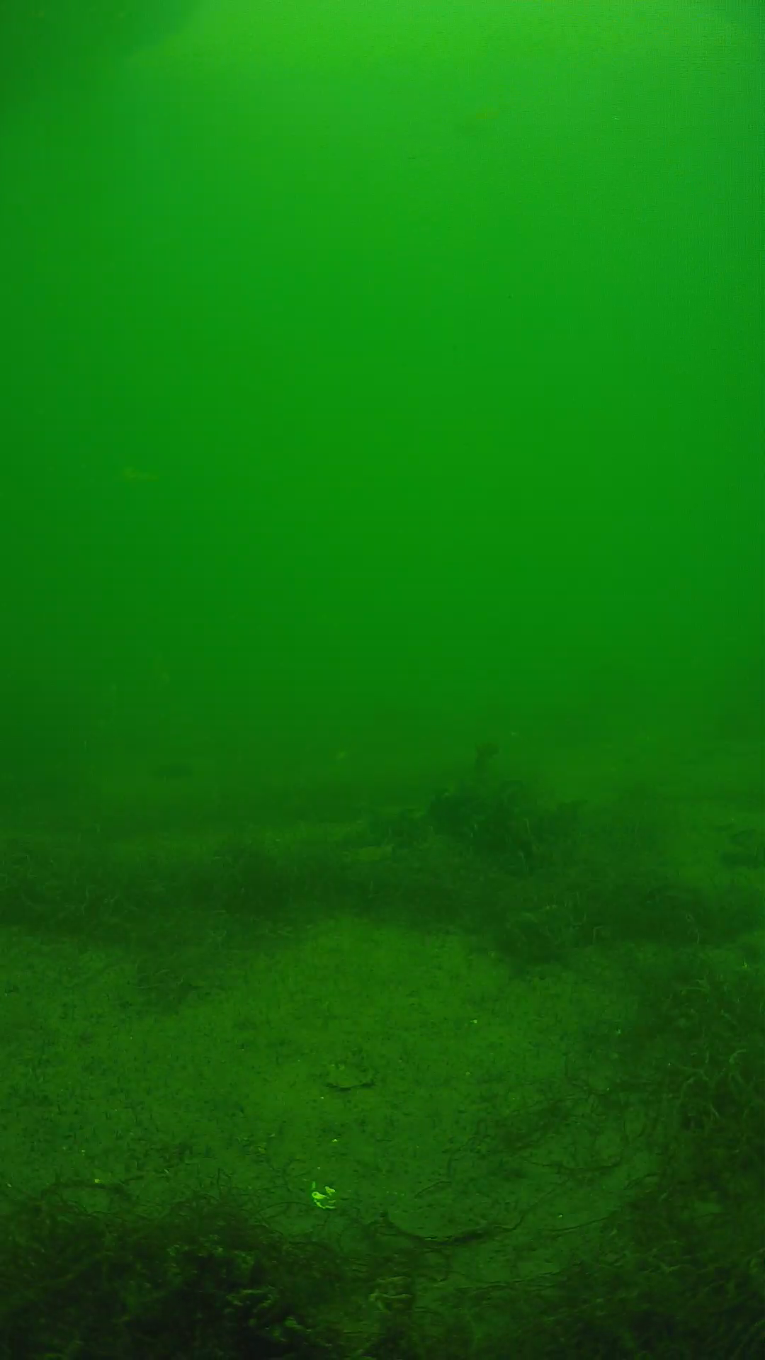lander_ipcam_20250604141625.png