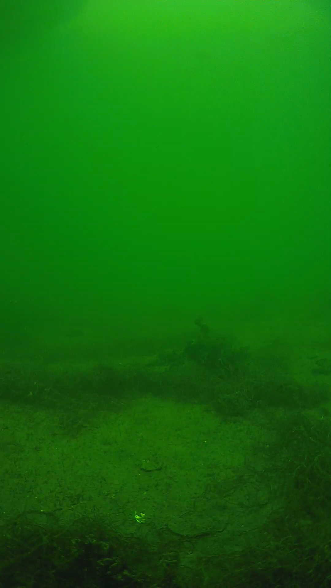 lander_ipcam_20250604141639.png