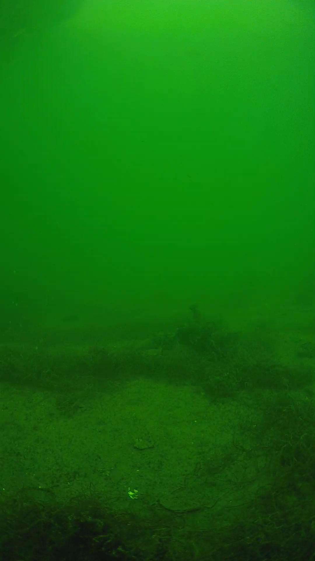 lander_ipcam_20250604141645.png