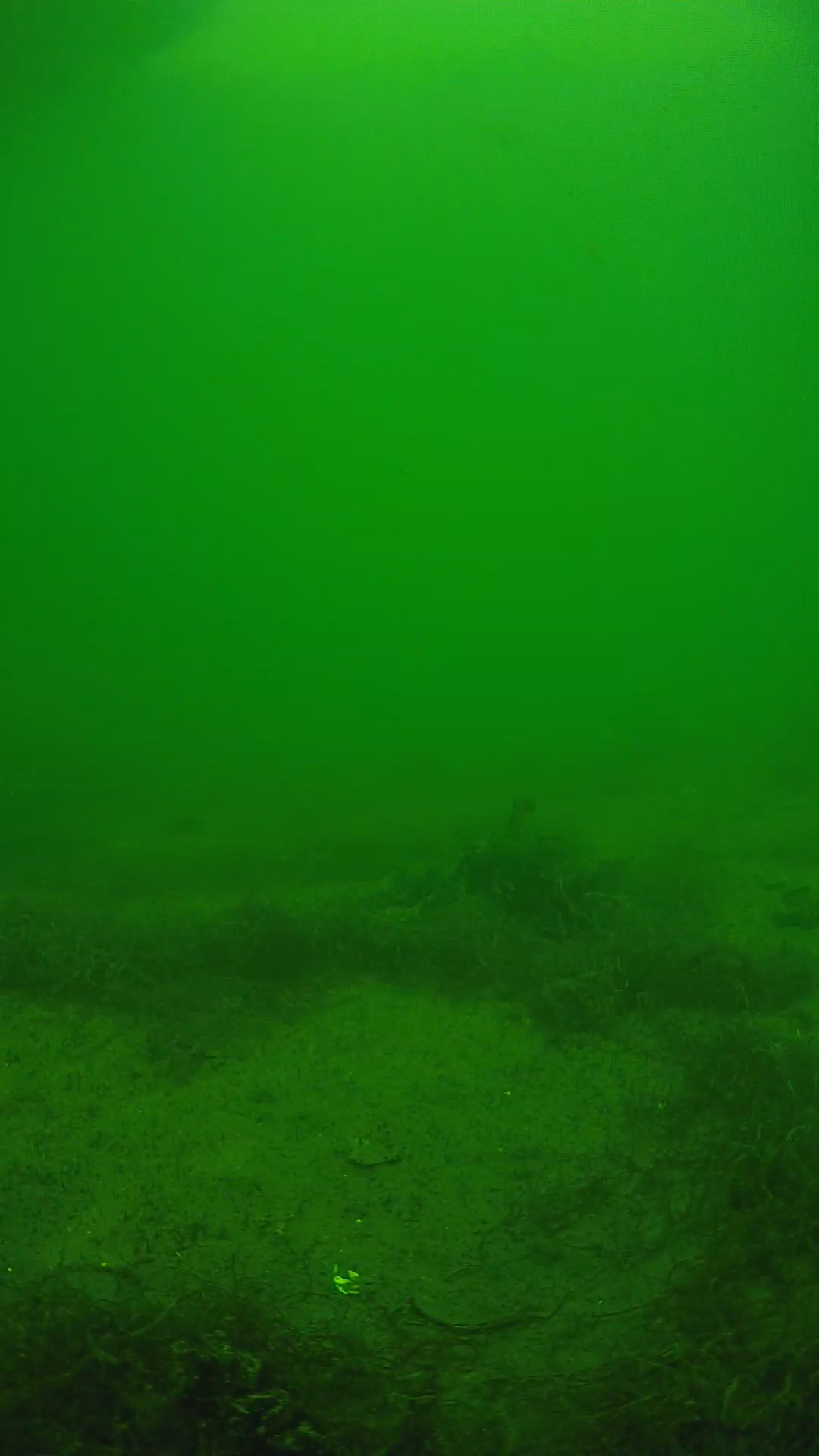 lander_ipcam_20250604141702.png