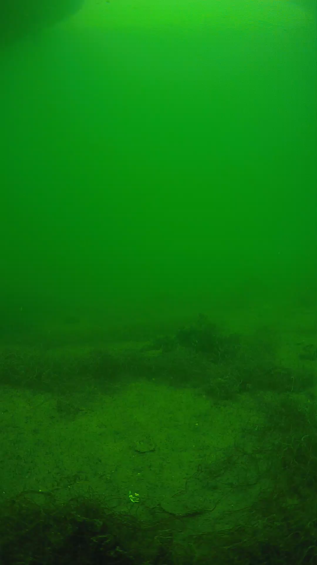 lander_ipcam_20250604143104.png