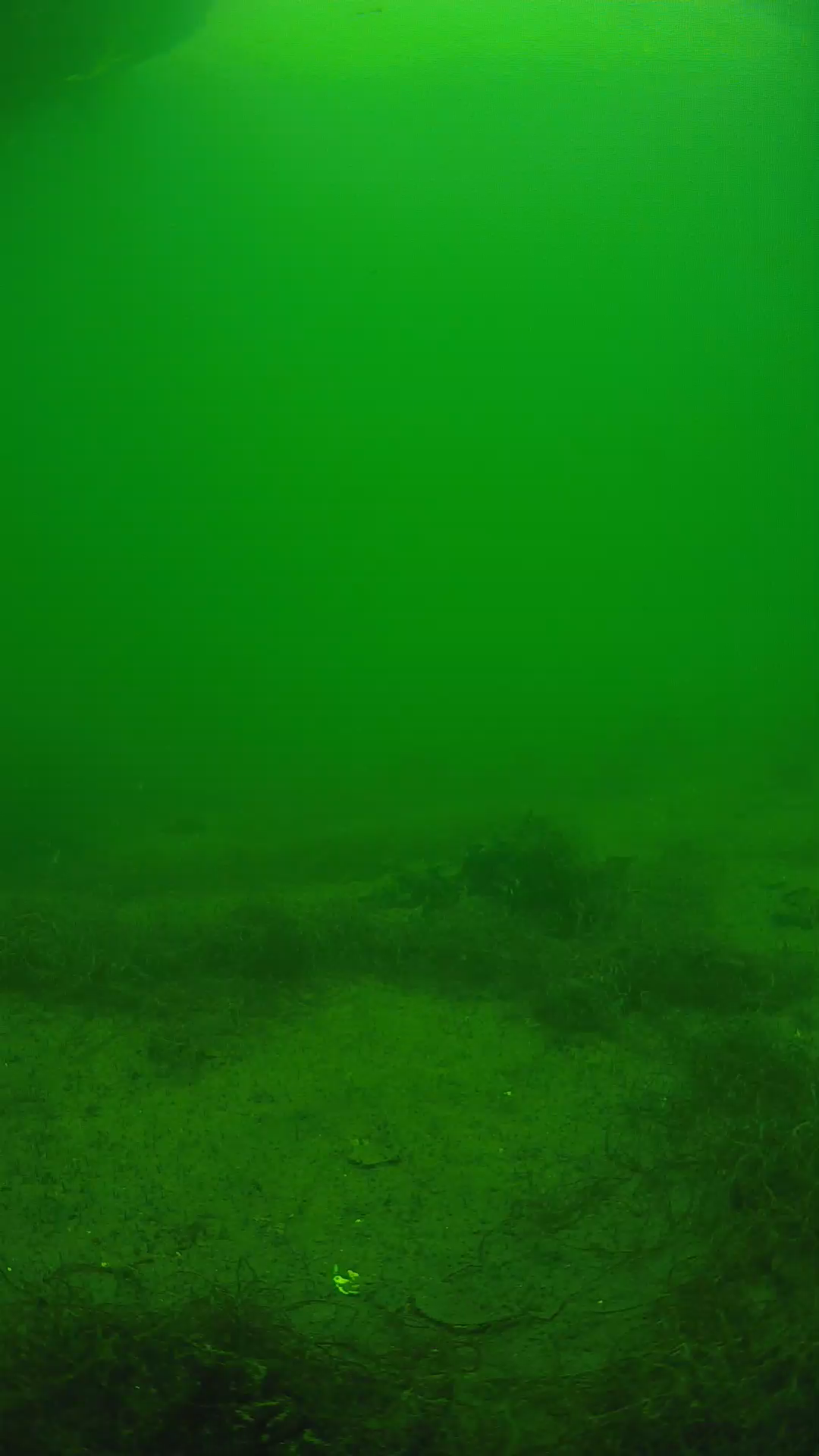 lander_ipcam_20250604143106.png